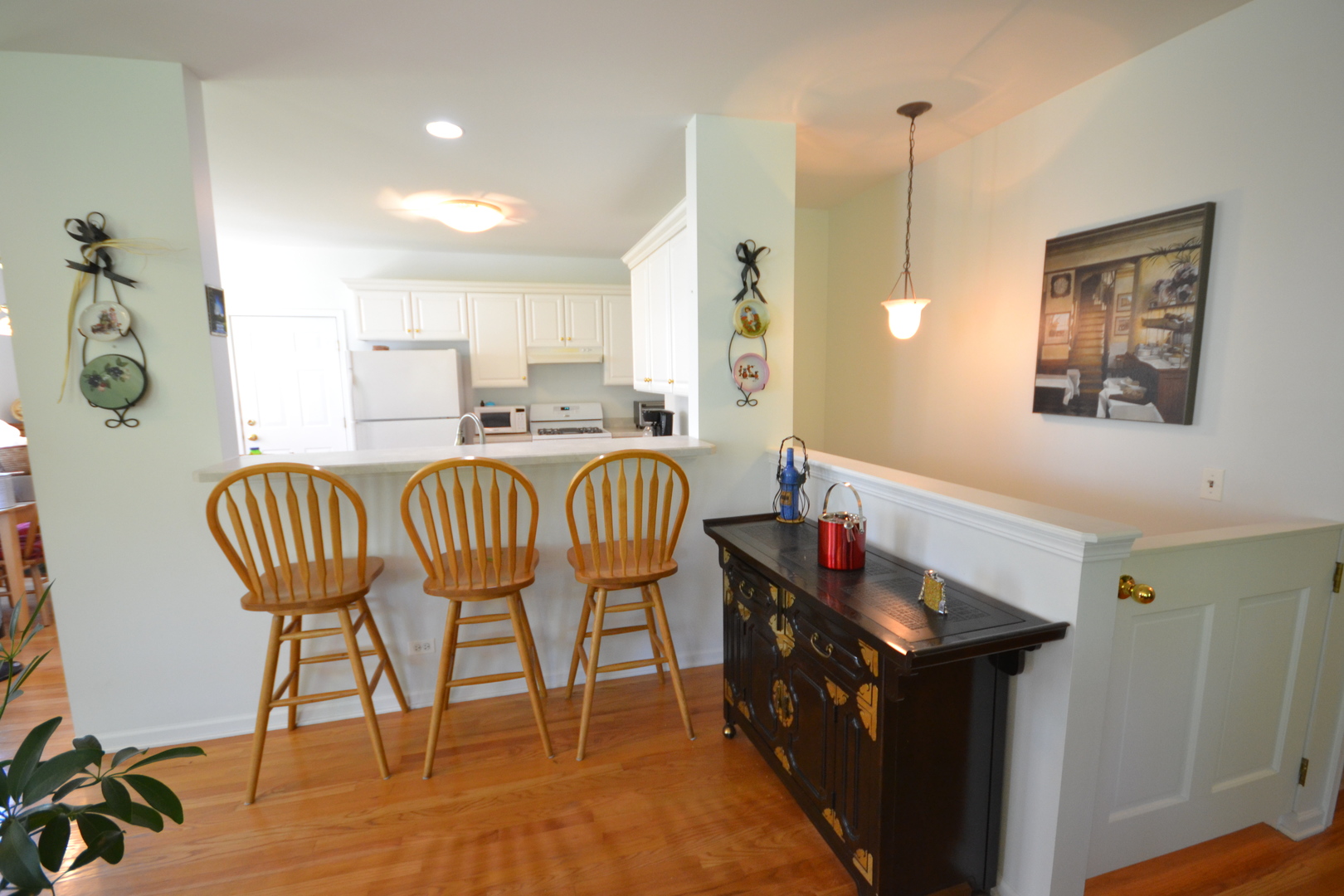 259 Ridge Road North Aurora, IL 60542 - Photo 8 of 19