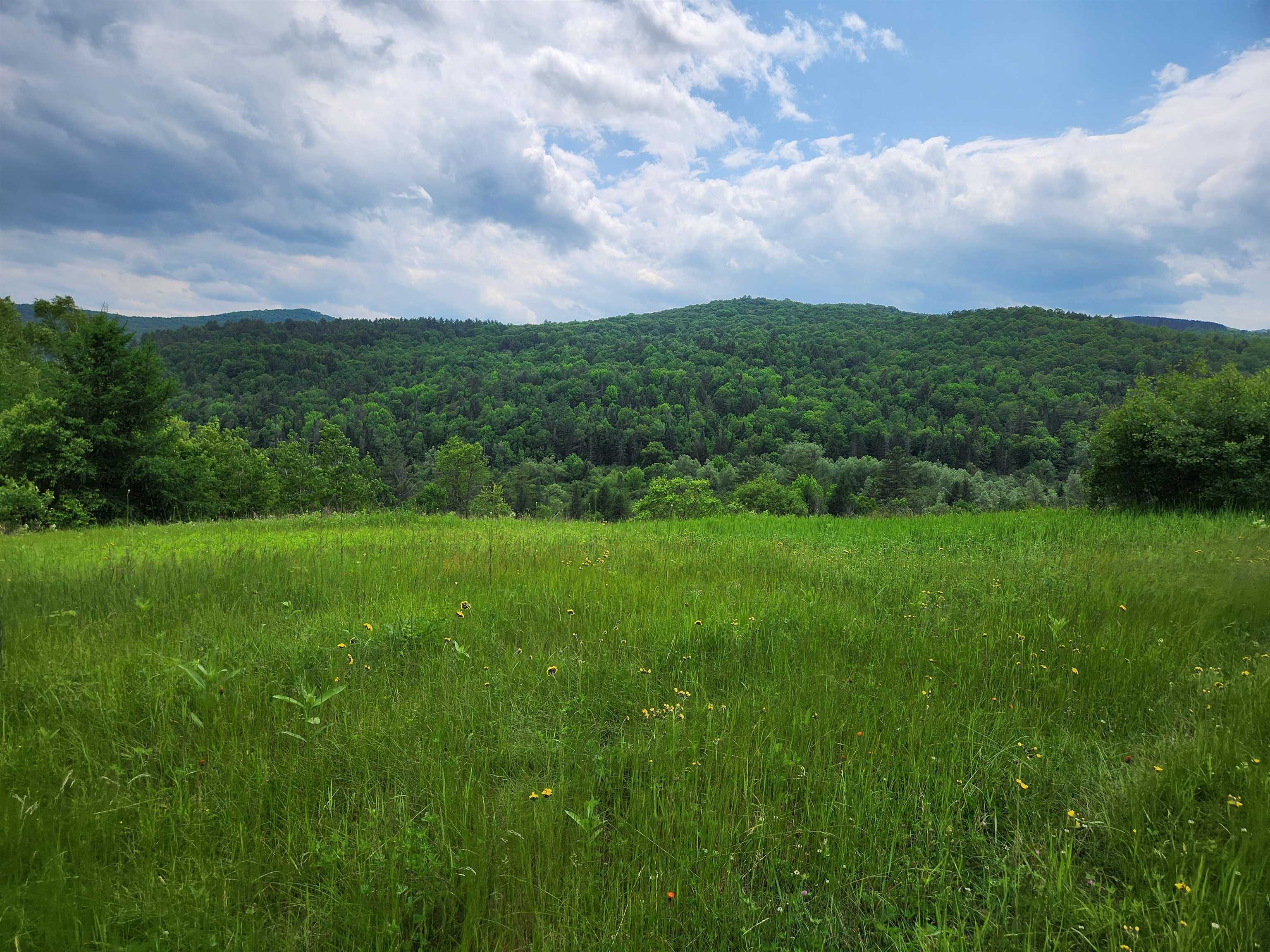 2402 Chelsea Road Corinth, VT 05039 - Photo 14 of 35
