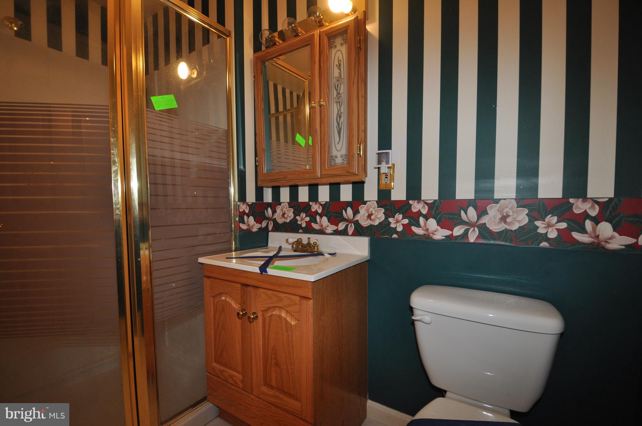 14306 Carroll Ridge Court Baldwin, MD 21013 - Photo 28 of 30 Bath (Lower Level)