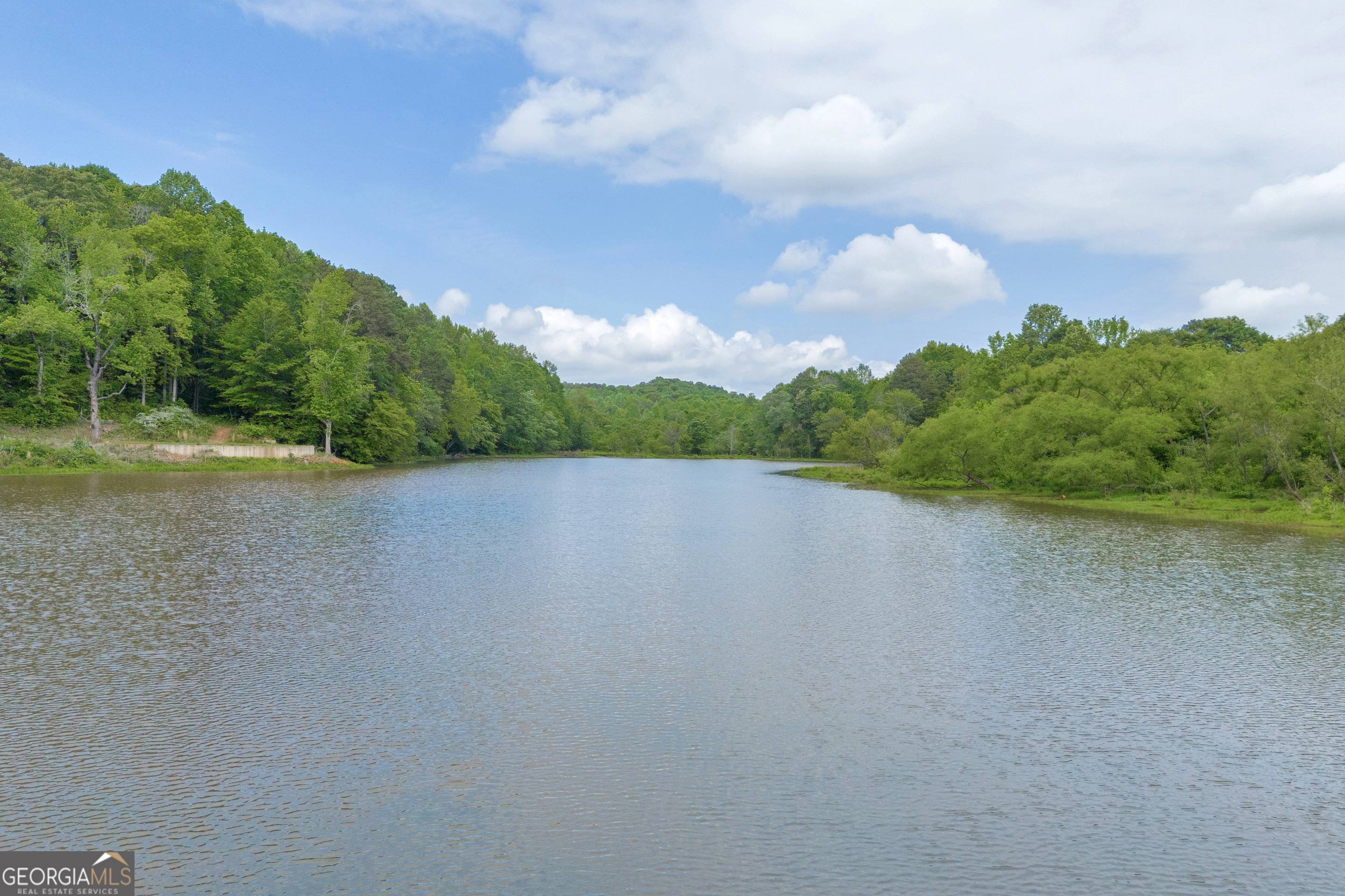 1120 Combs Avenue Martin, GA 30557 - Photo 18 of 56