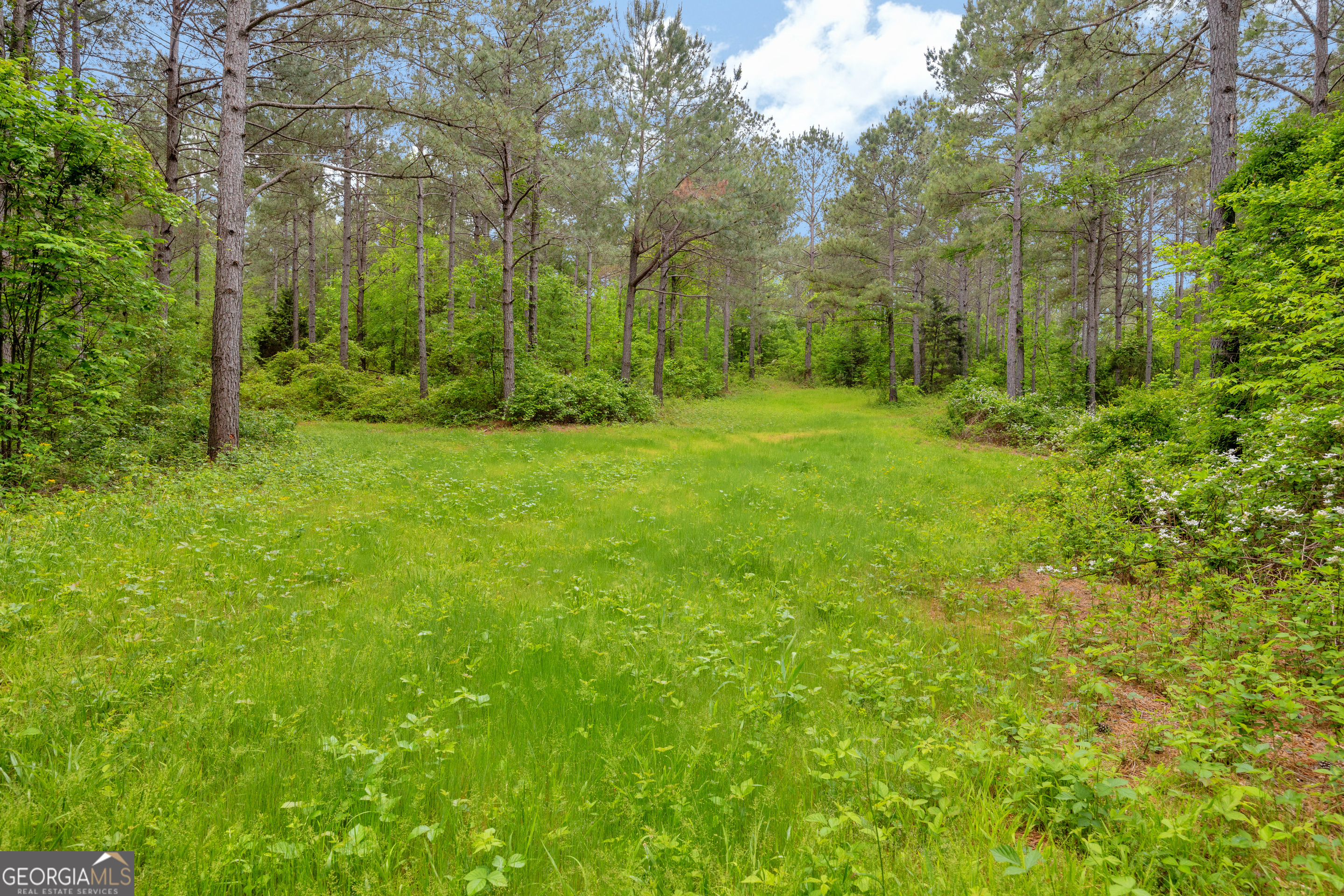 1120 Combs Avenue Martin, GA 30557 - Photo 2 of 56 a view of a lush green space