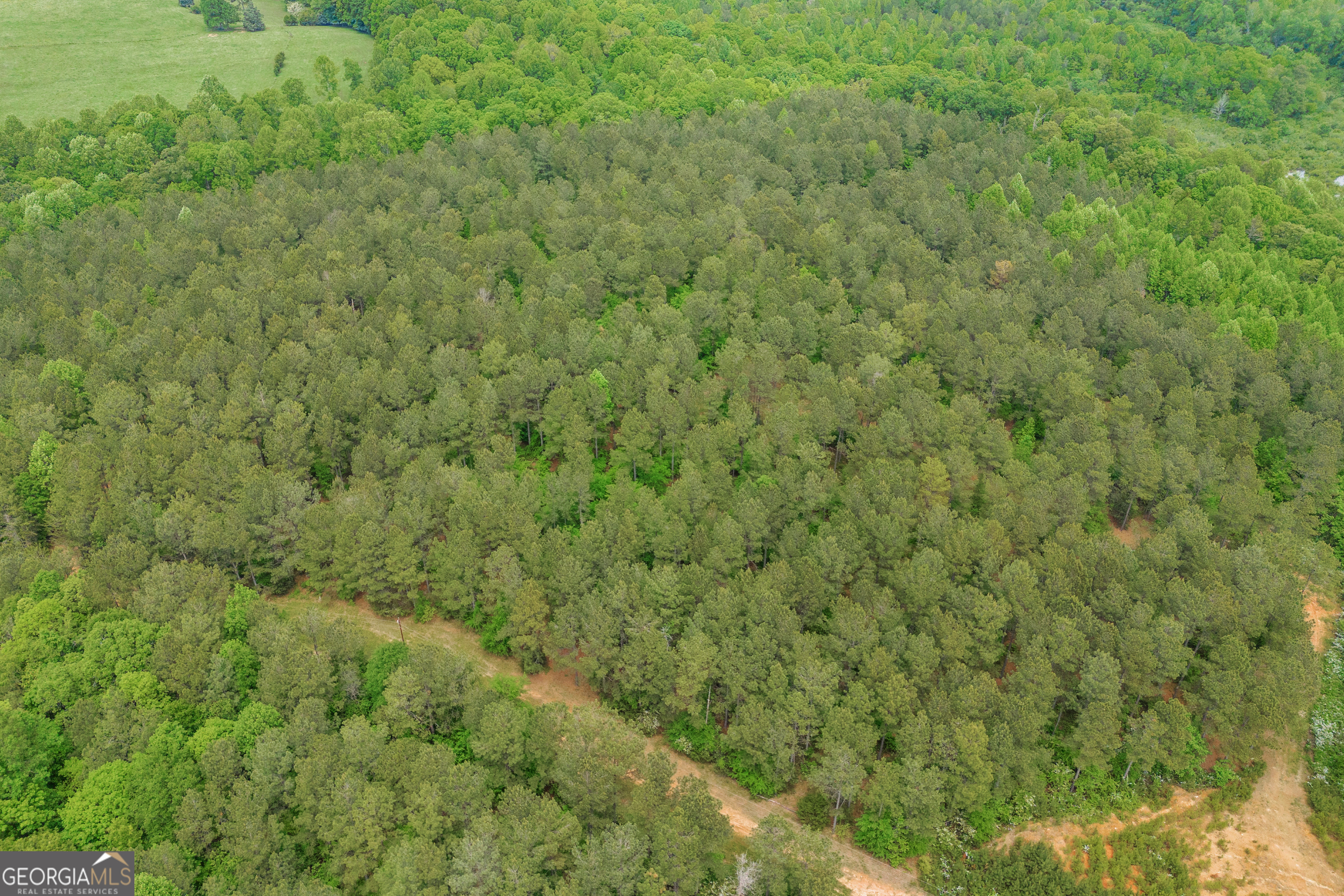 1120 Combs Avenue Martin, GA 30557 - Photo 21 of 56 a view of a covered with green field