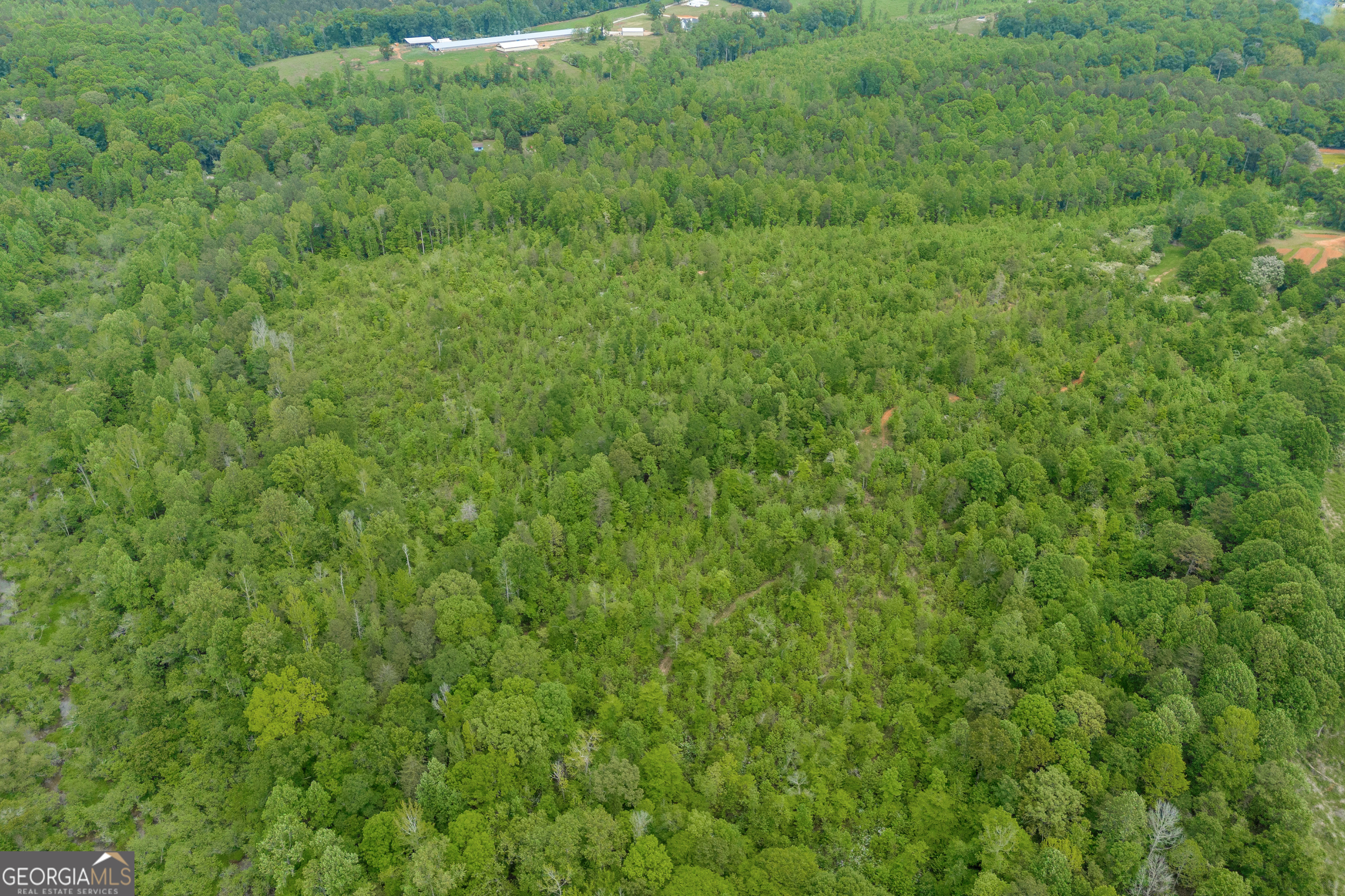 1120 Combs Avenue Martin, GA 30557 - Photo 23 of 56