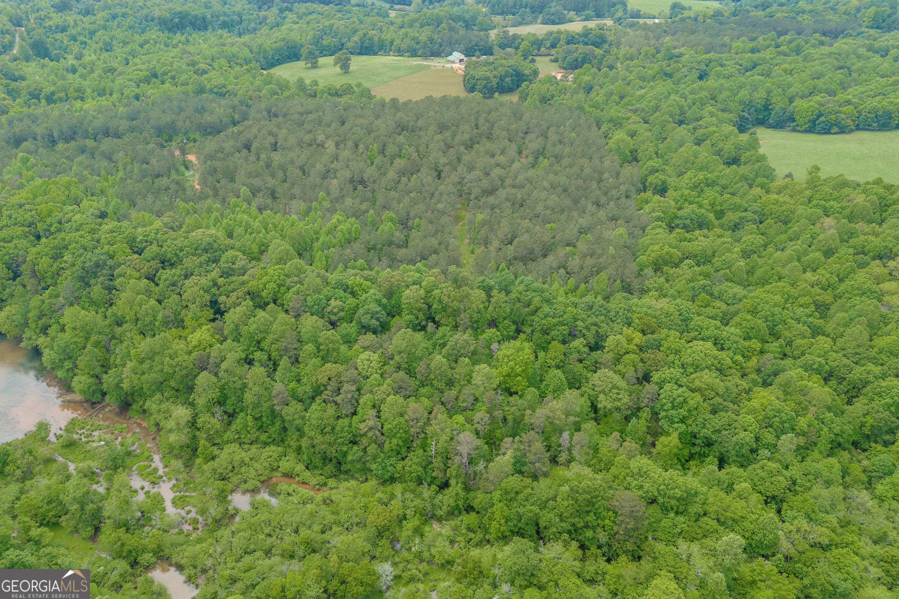 1120 Combs Avenue Martin, GA 30557 - Photo 25 of 56 a view of a big yard with large trees