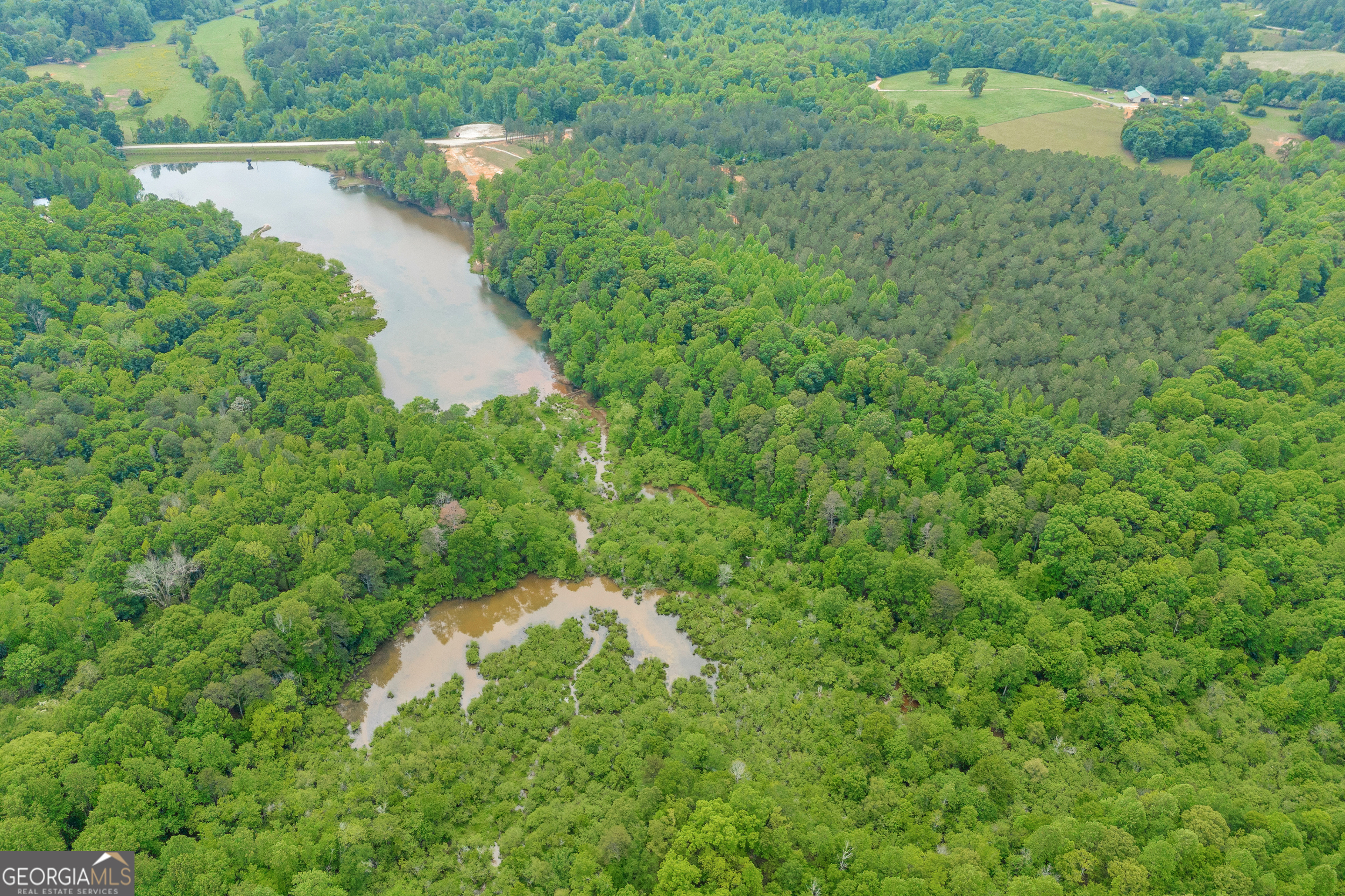 1120 Combs Avenue Martin, GA 30557 - Photo 26 of 56 a view of a lake and green space