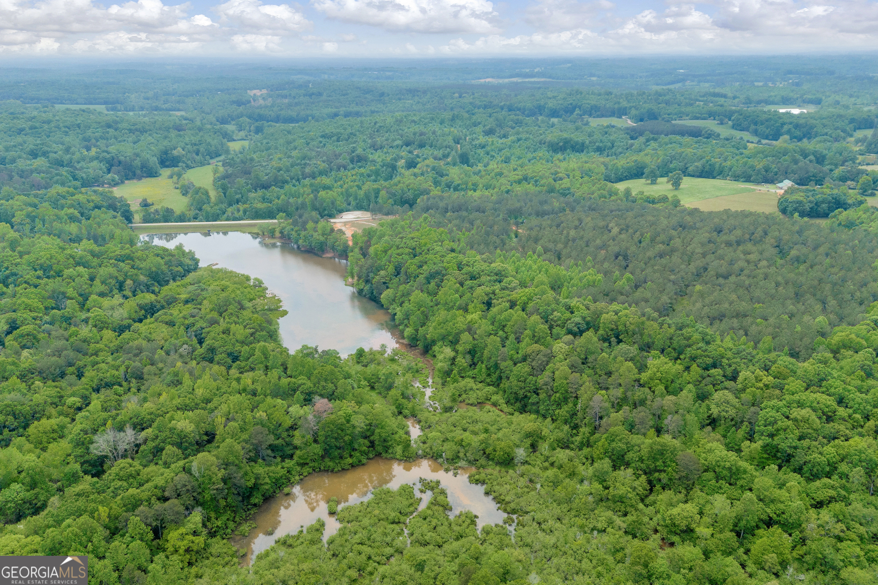 1120 Combs Avenue Martin, GA 30557 - Photo 31 of 56 a view of a lush green forest