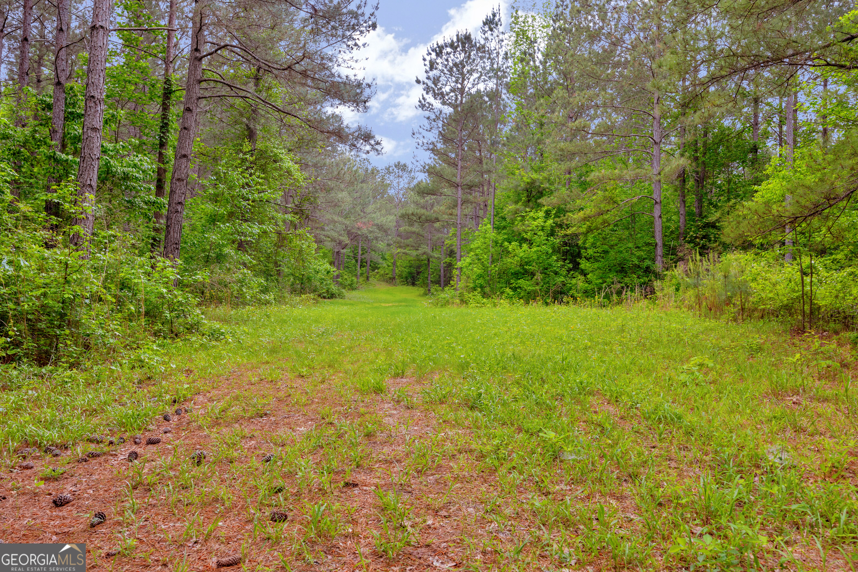 1120 Combs Avenue Martin, GA 30557 - Photo 32 of 56