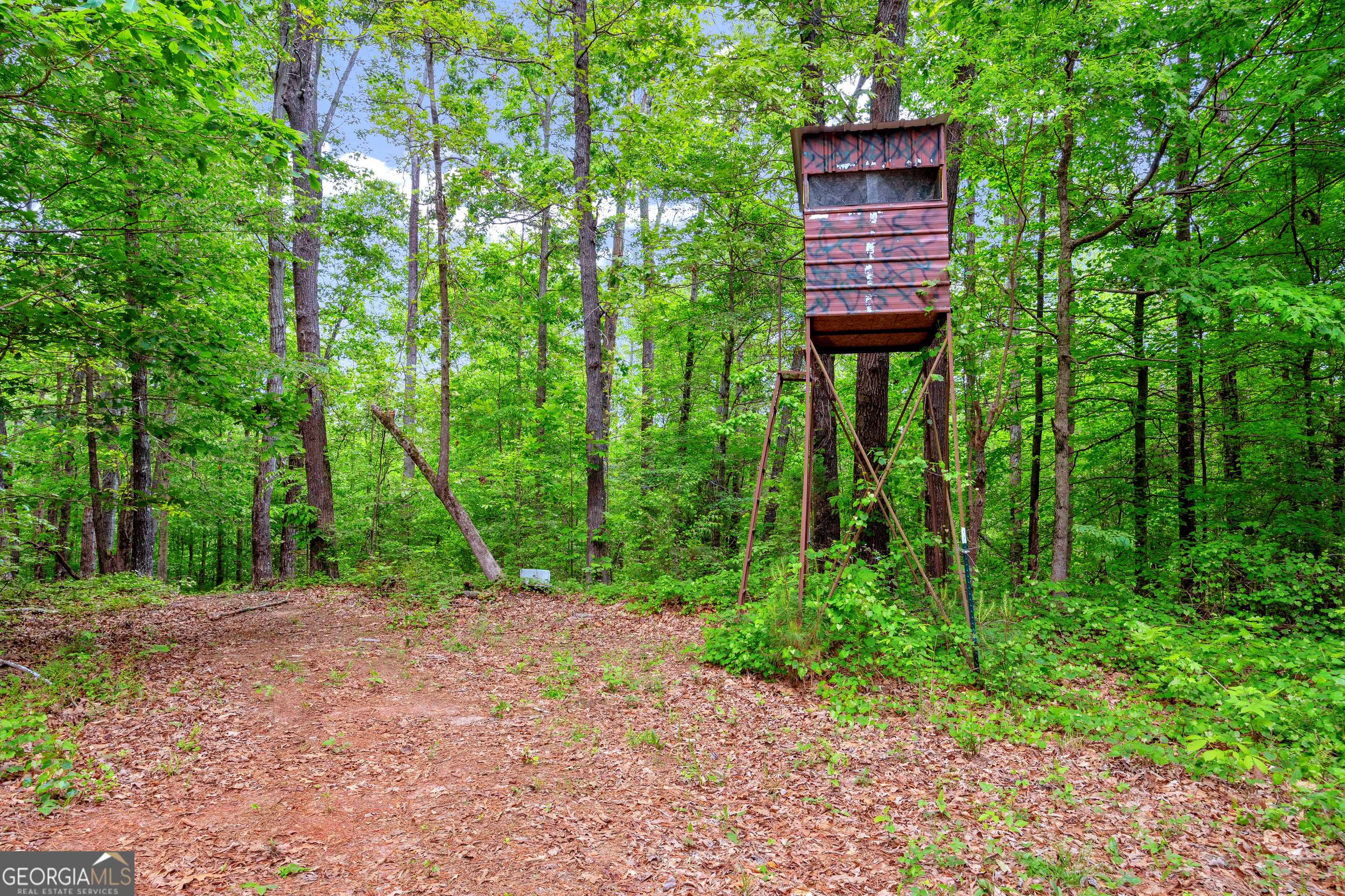 1120 Combs Avenue Martin, GA 30557 - Photo 33 of 56 a view of a pathway in a garden