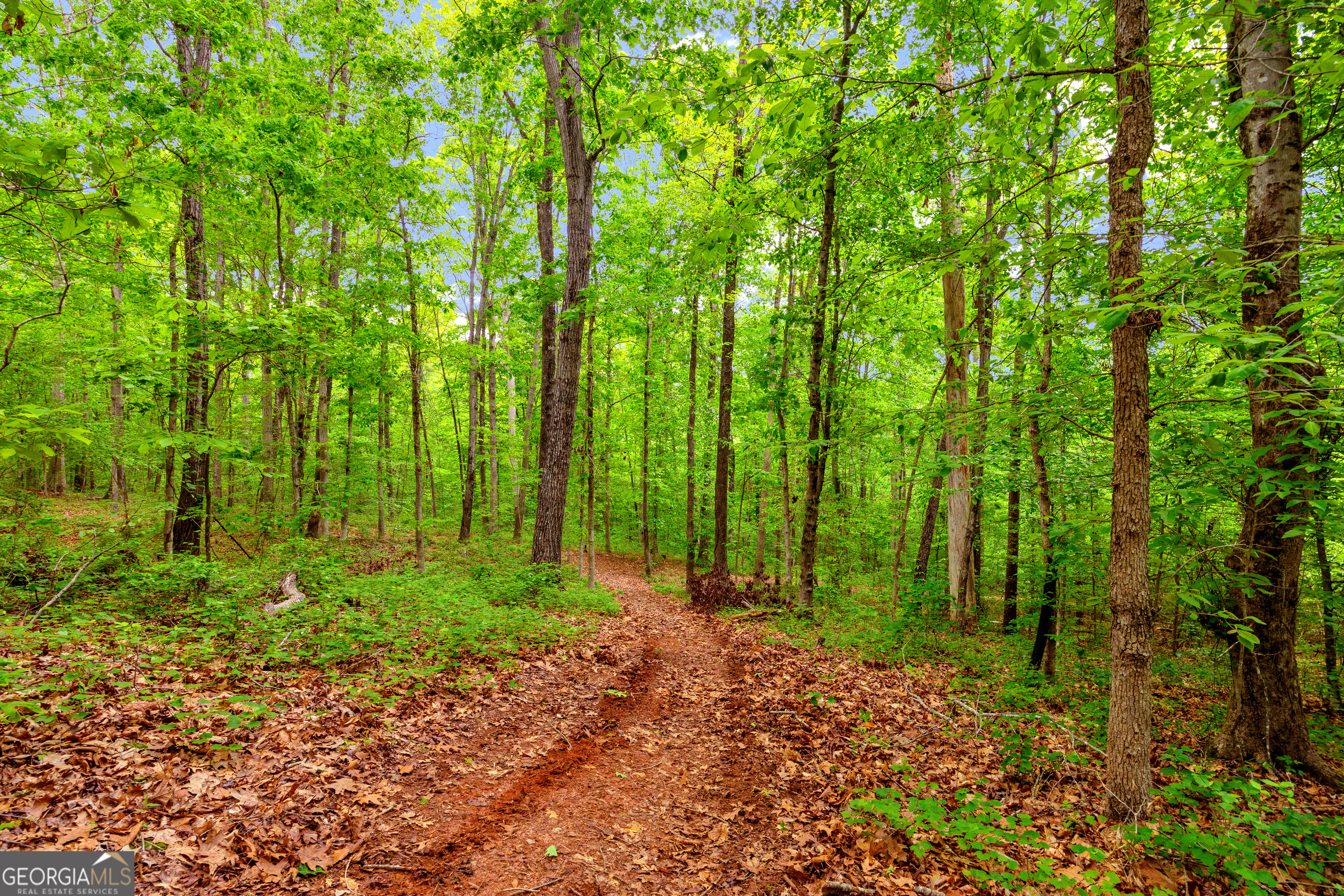 1120 Combs Avenue Martin, GA 30557 - Photo 35 of 56 a garden view