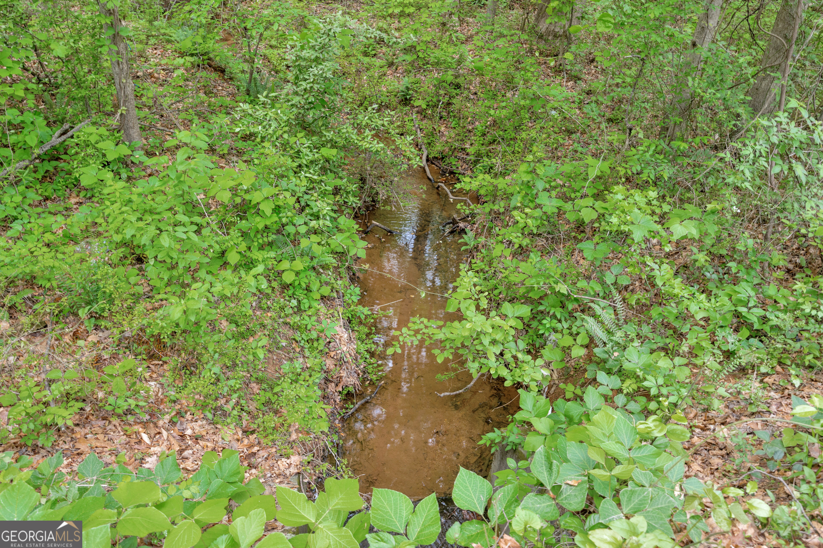 1120 Combs Avenue Martin, GA 30557 - Photo 42 of 56 a backyard of a house with lots of green space and a fountain