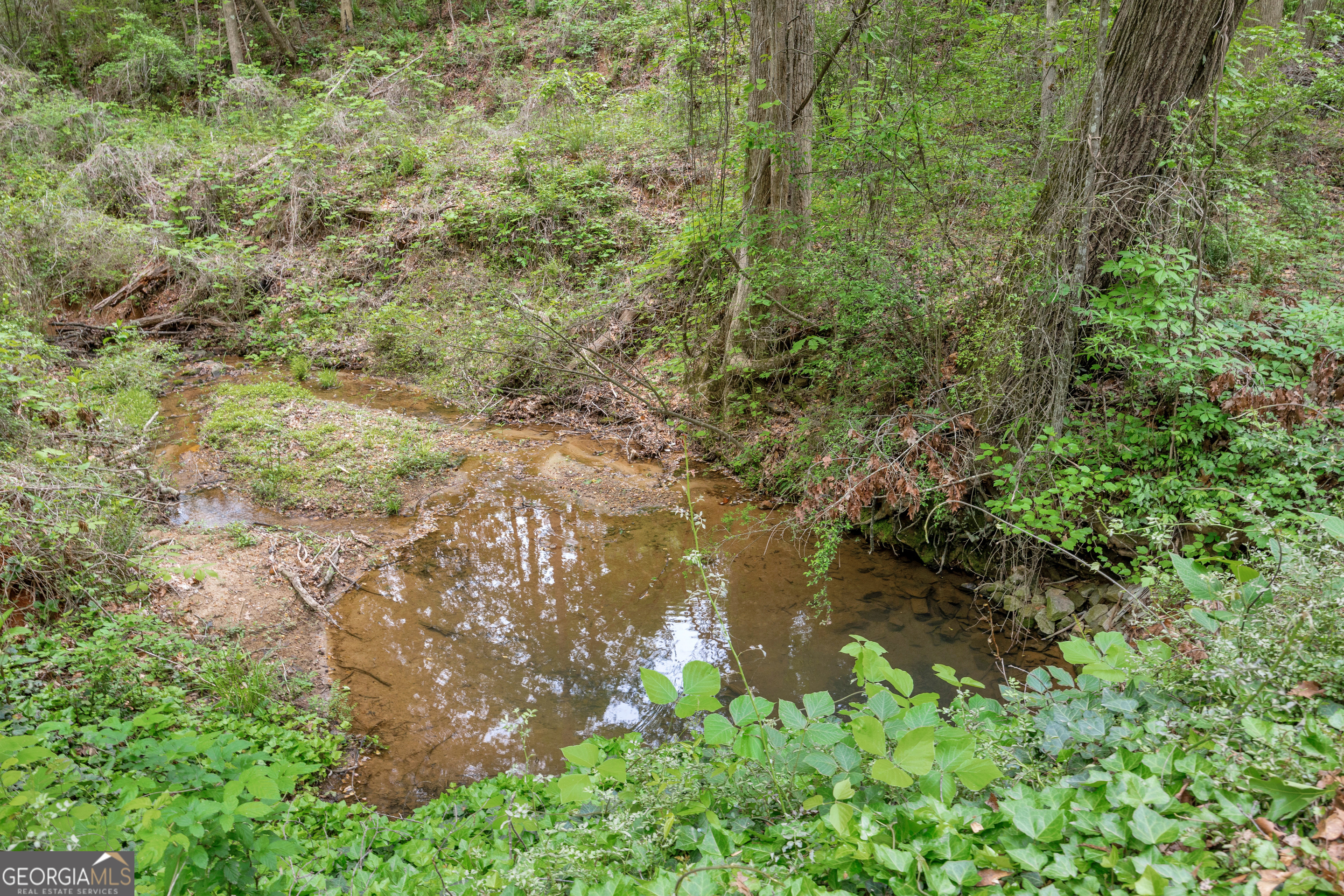 1120 Combs Avenue Martin, GA 30557 - Photo 43 of 56