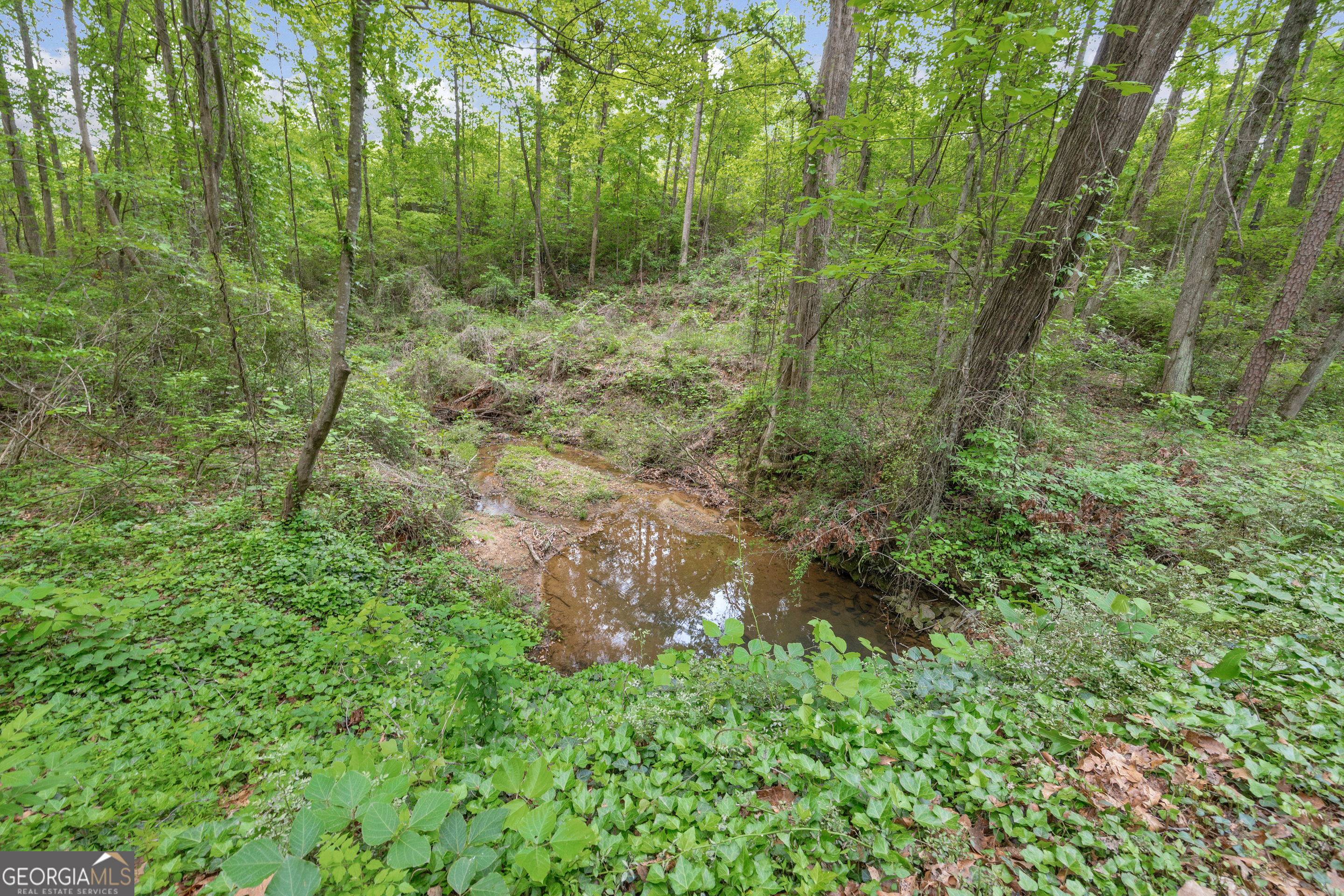 1120 Combs Avenue Martin, GA 30557 - Photo 44 of 56 a view of a lush green forest
