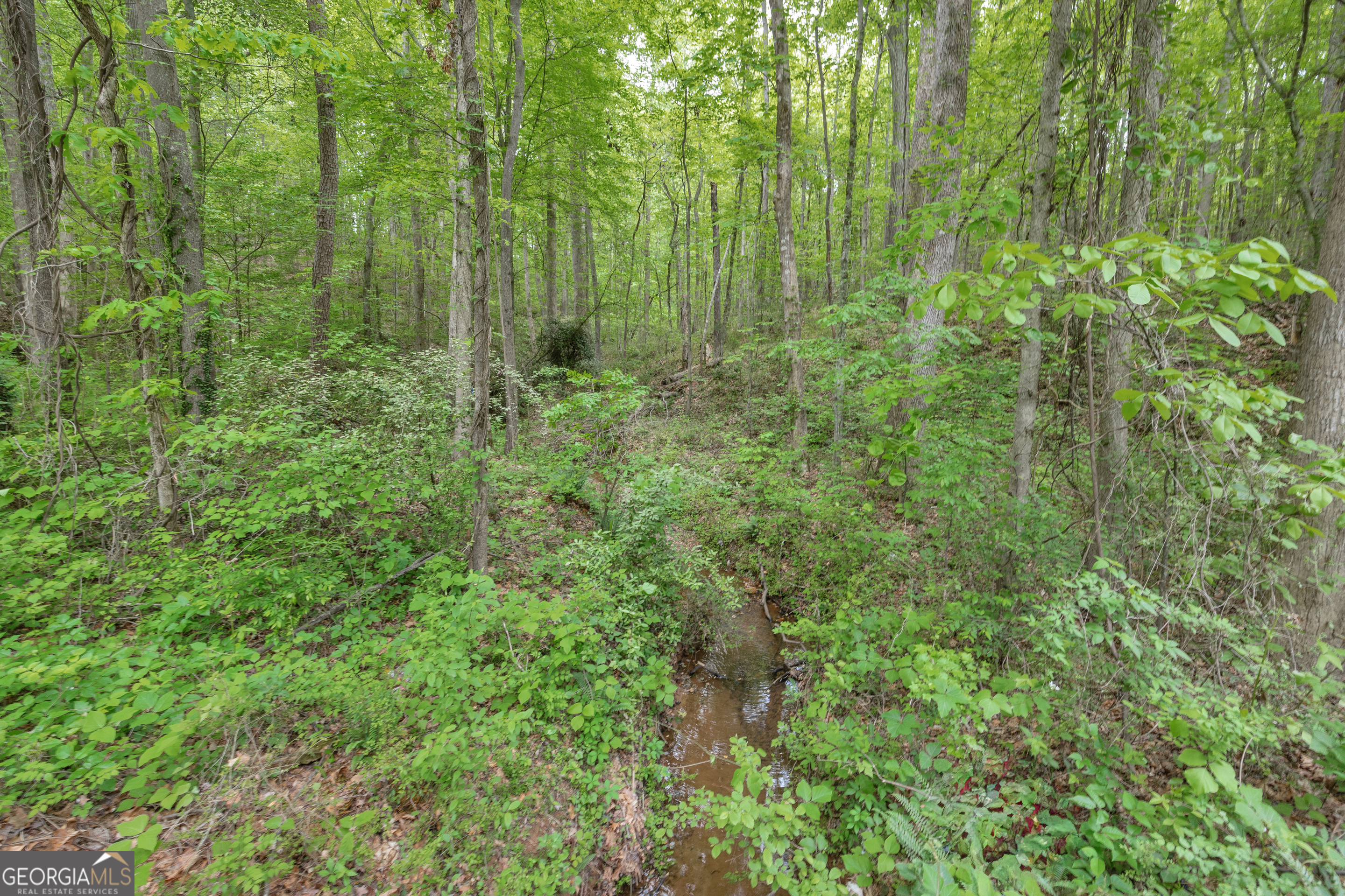 1120 Combs Avenue Martin, GA 30557 - Photo 46 of 56