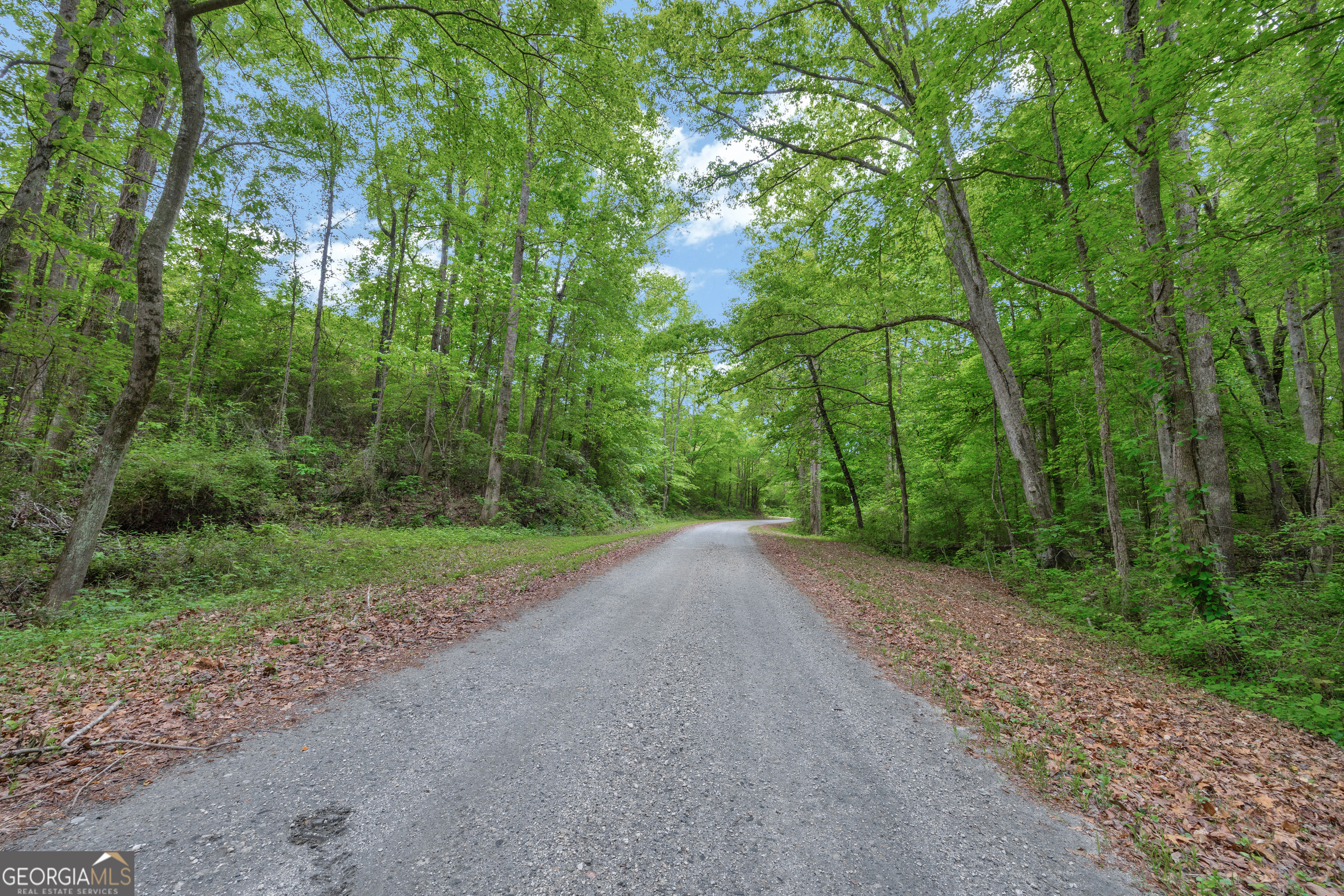 1120 Combs Avenue Martin, GA 30557 - Photo 47 of 56 a view of a field with trees in the background