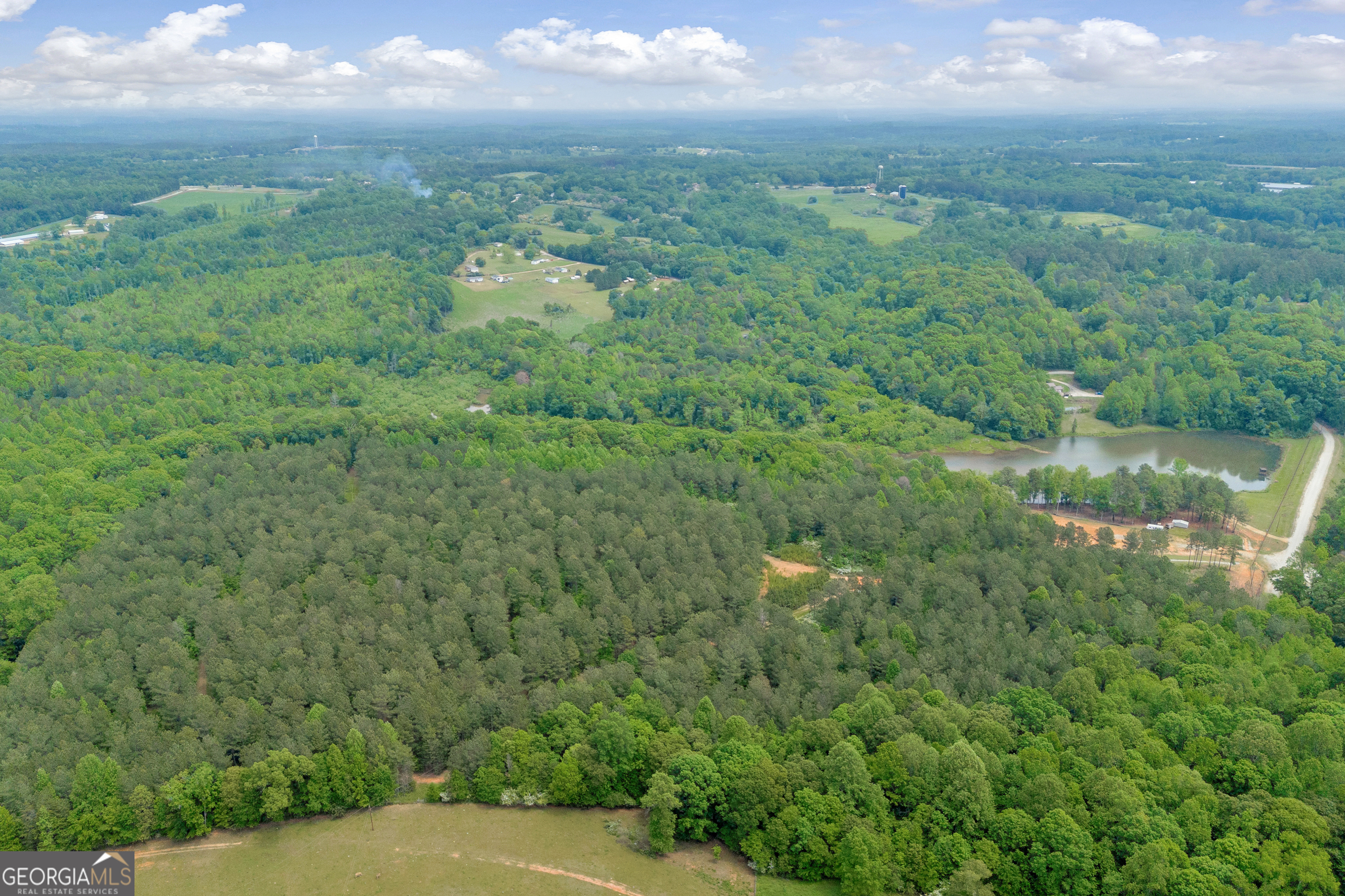 1120 Combs Avenue Martin, GA 30557 - Photo 49 of 56 a view of a yard with an outdoor space