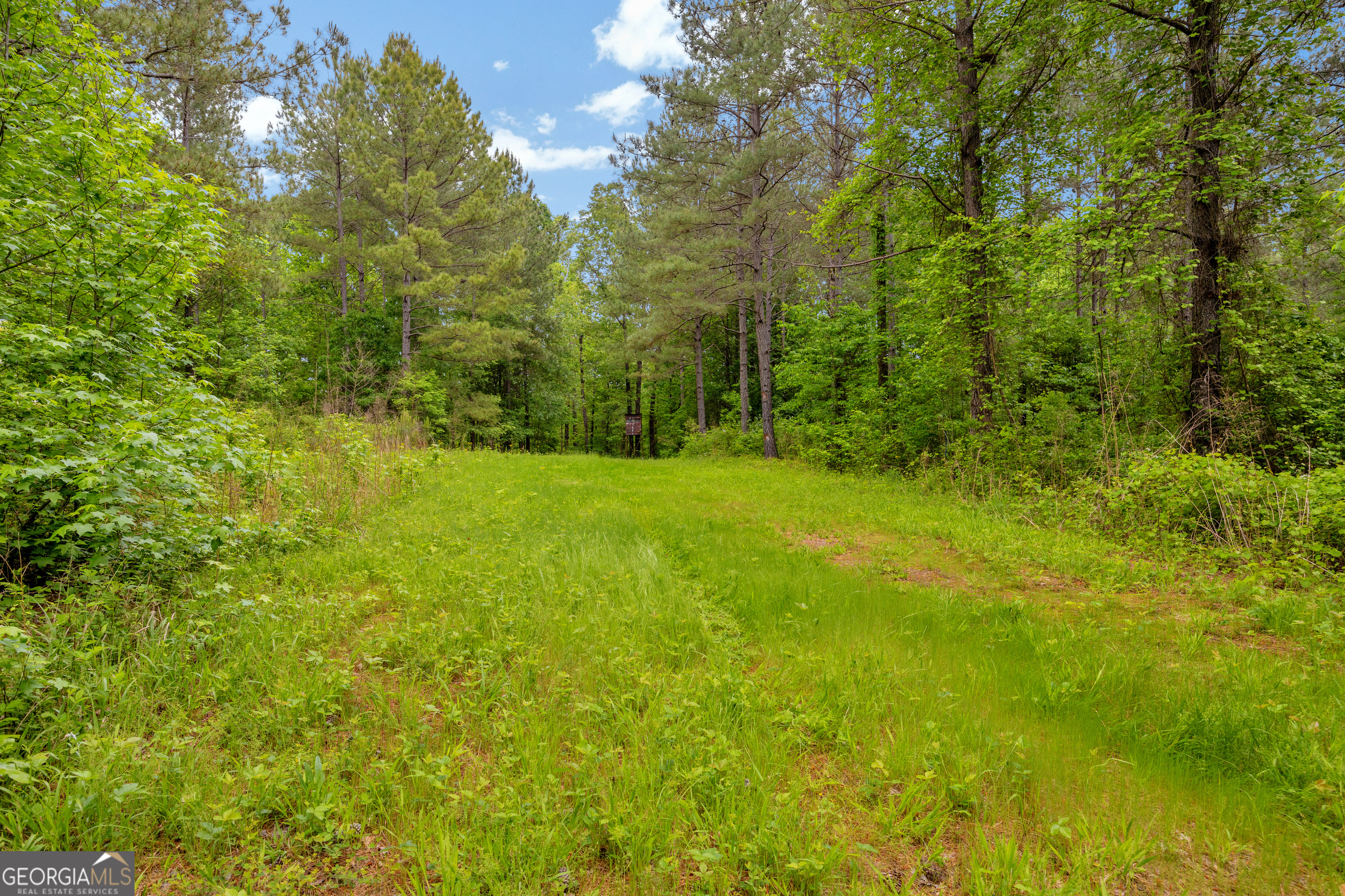 1120 Combs Avenue Martin, GA 30557 - Photo 5 of 56