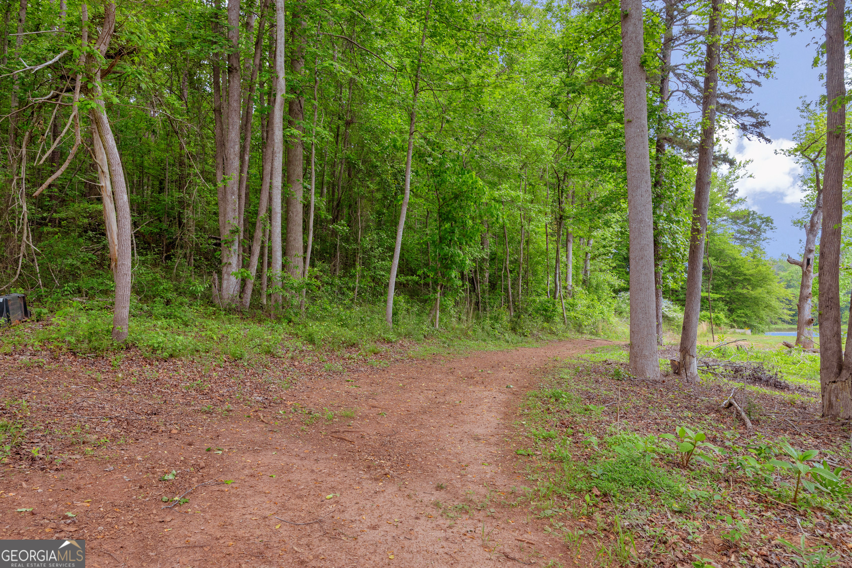 1120 Combs Avenue Martin, GA 30557 - Photo 53 of 56