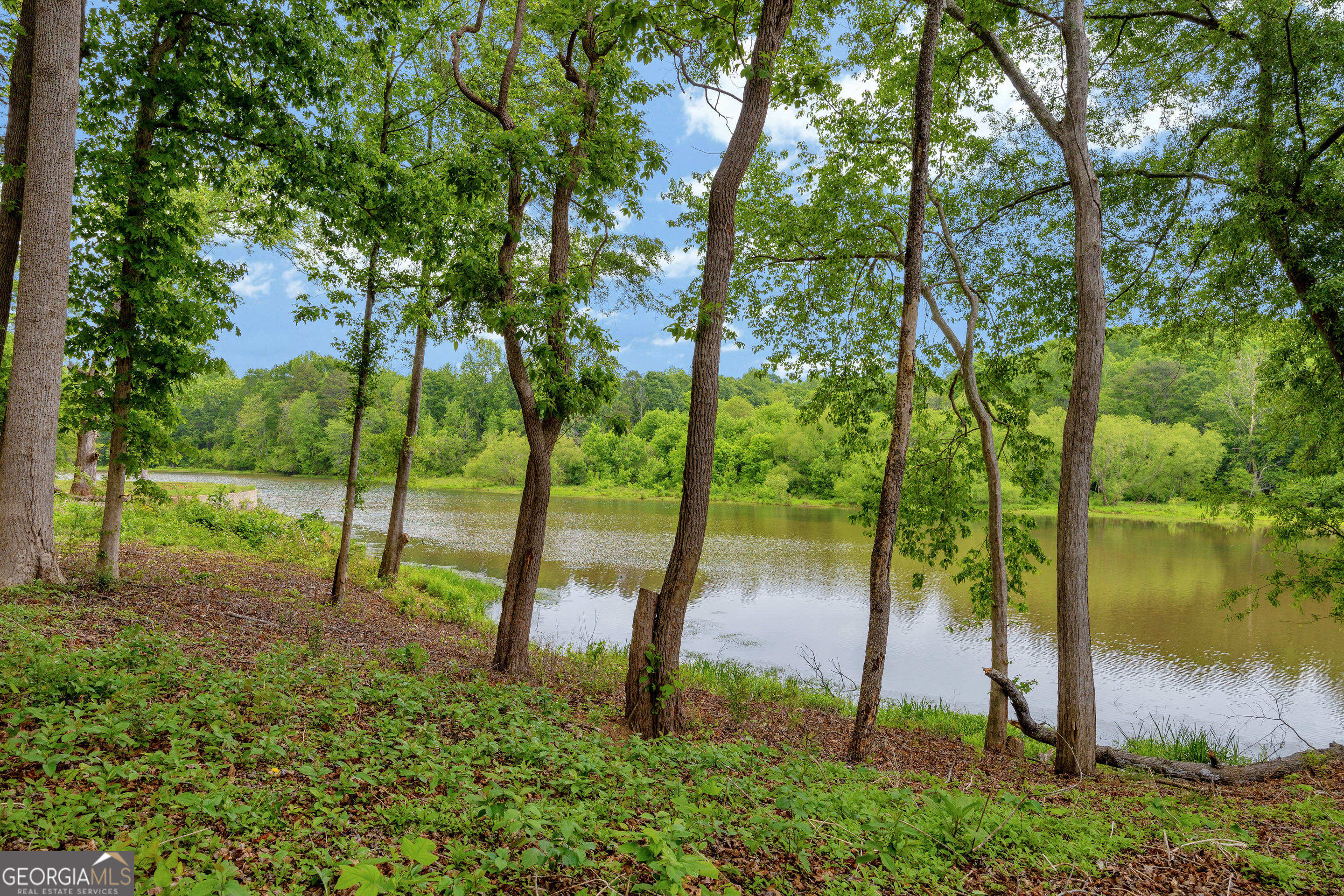 1120 Combs Avenue Martin, GA 30557 - Photo 54 of 56 a view of a park
