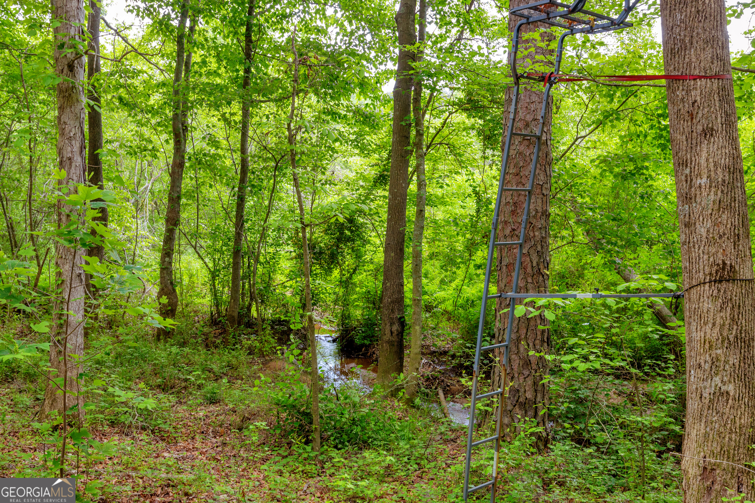 1120 Combs Avenue Martin, GA 30557 - Photo 55 of 56 a view of outdoor space and green space