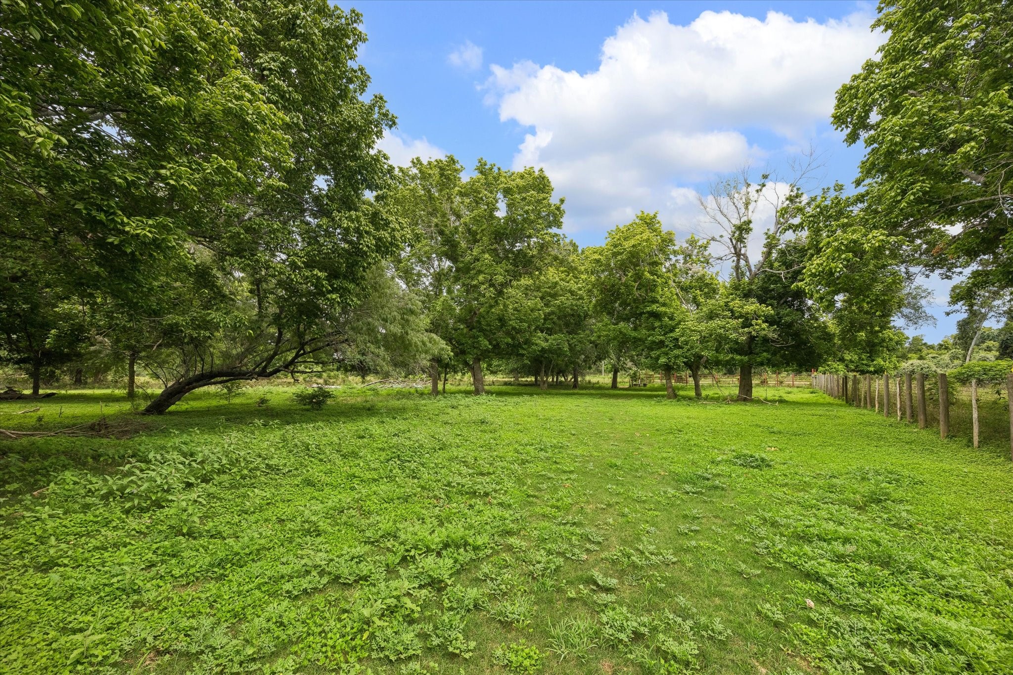 2511 Hartwell Road Pattison, TX 77423 - Photo 24 of 27 Perfect for horses, livestock, recreation, or simply enjoying wide-open spaces.