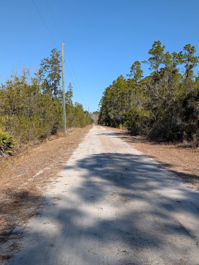 846 Hickory Hammock Road Carrabelle, FL 32322 - Photo 2 of 7