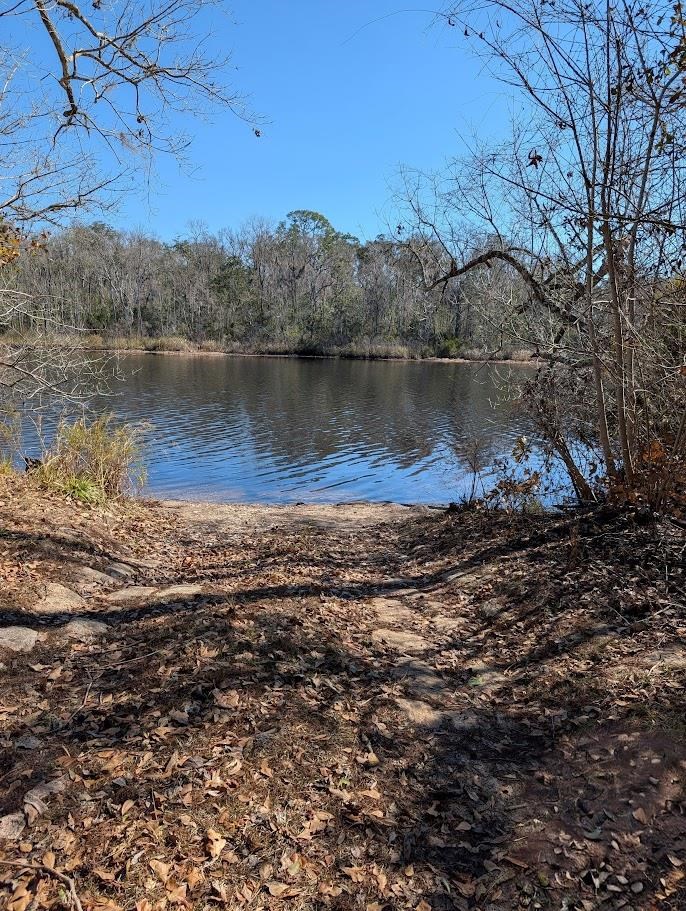 846 Hickory Hammock Road Carrabelle, FL 32322 - Photo 4 of 7