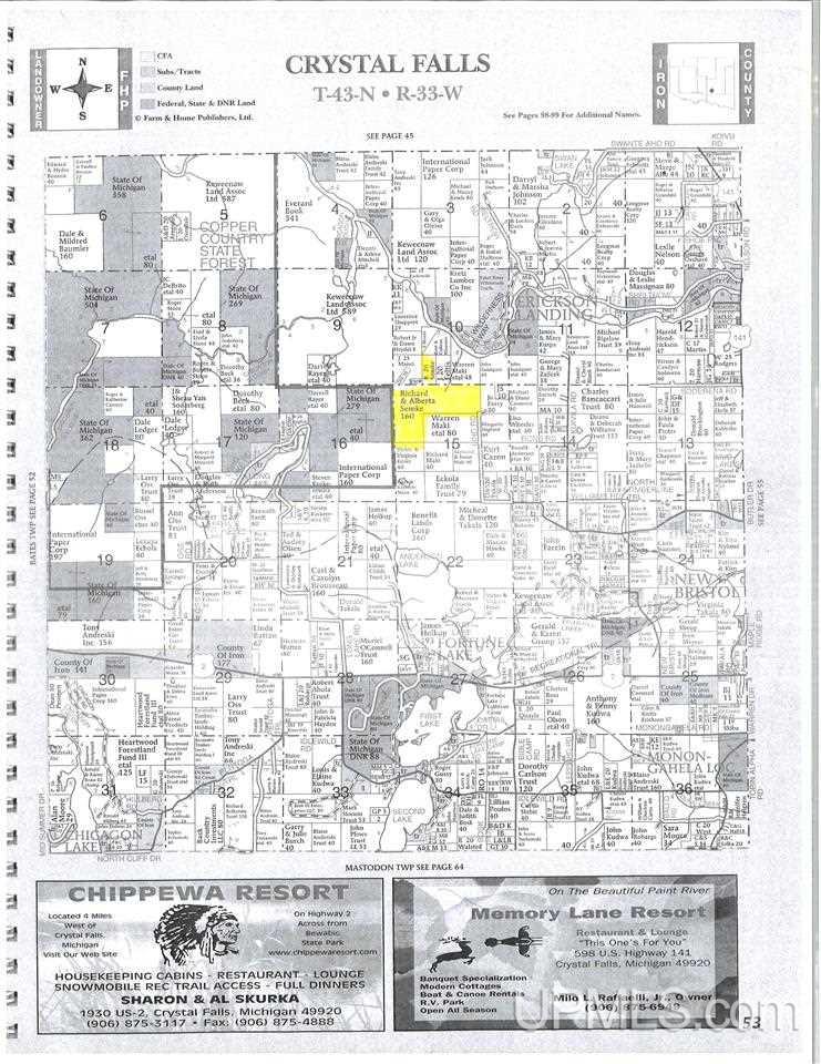 180-acres Lind Road Crystal Falls, MI 49920 - Photo 31 of 33 Gallery Image 31