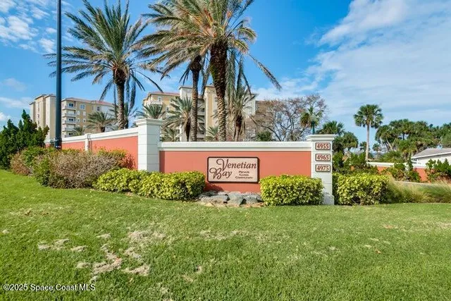 a view of a yard with plants and palm trees