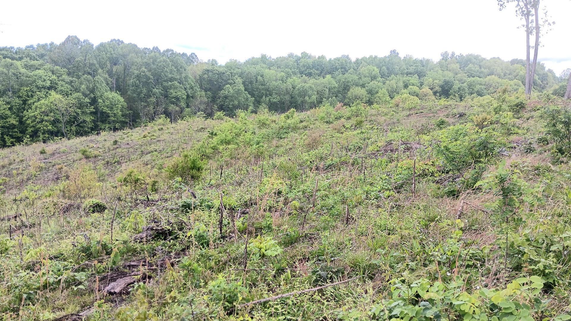 0 Hampton Hollow Road, Unit 7 ACRE TRACT) Langsville, OH 45741 - Photo 33 of 55