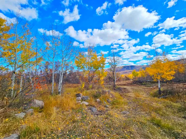 $395,000 | 65 Mesa Co 81643, Mesa, CO 81643