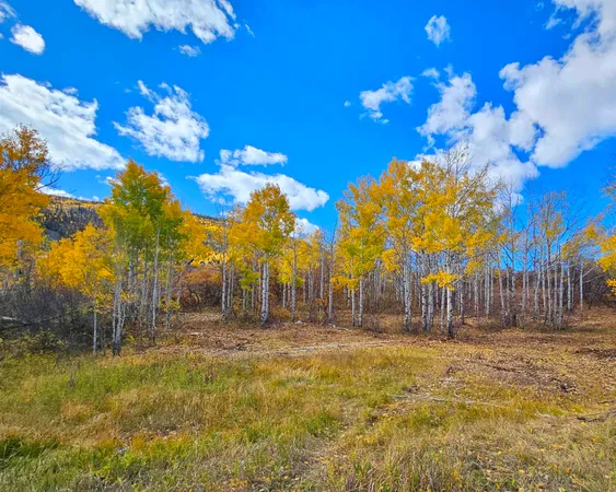 $395,000 | 65 Mesa Co 81643, Mesa, CO 81643