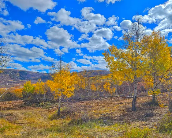 $395,000 | 65 Mesa Co 81643, Mesa, CO 81643