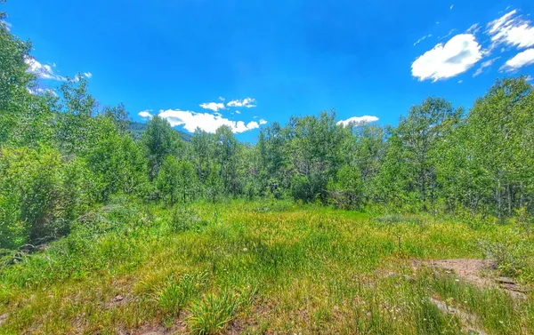 $395,000 | 65 Mesa Co 81643, Mesa, CO 81643