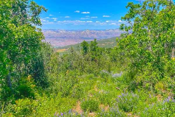 $395,000 | 65 Mesa Co 81643, Mesa, CO 81643