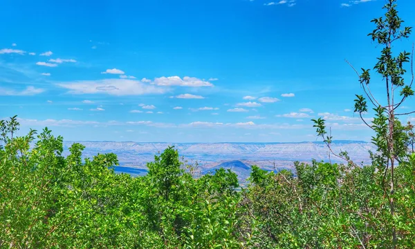 $395,000 | 65 Mesa Co 81643, Mesa, CO 81643
