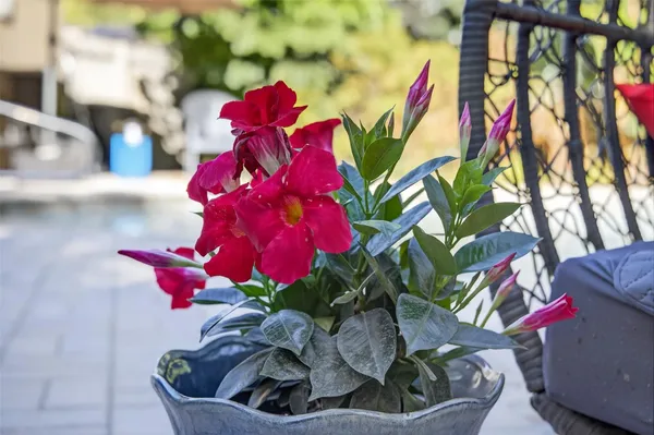 $5,500 | 318 Northeast 26th Street, Wilton Manors, FL 33305