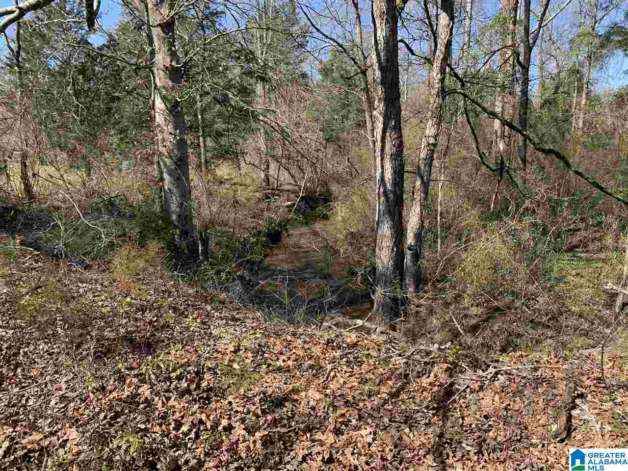 201 Barclay Road, Unit 115 AC Talladega, AL 35160 - Photo 6 of 30