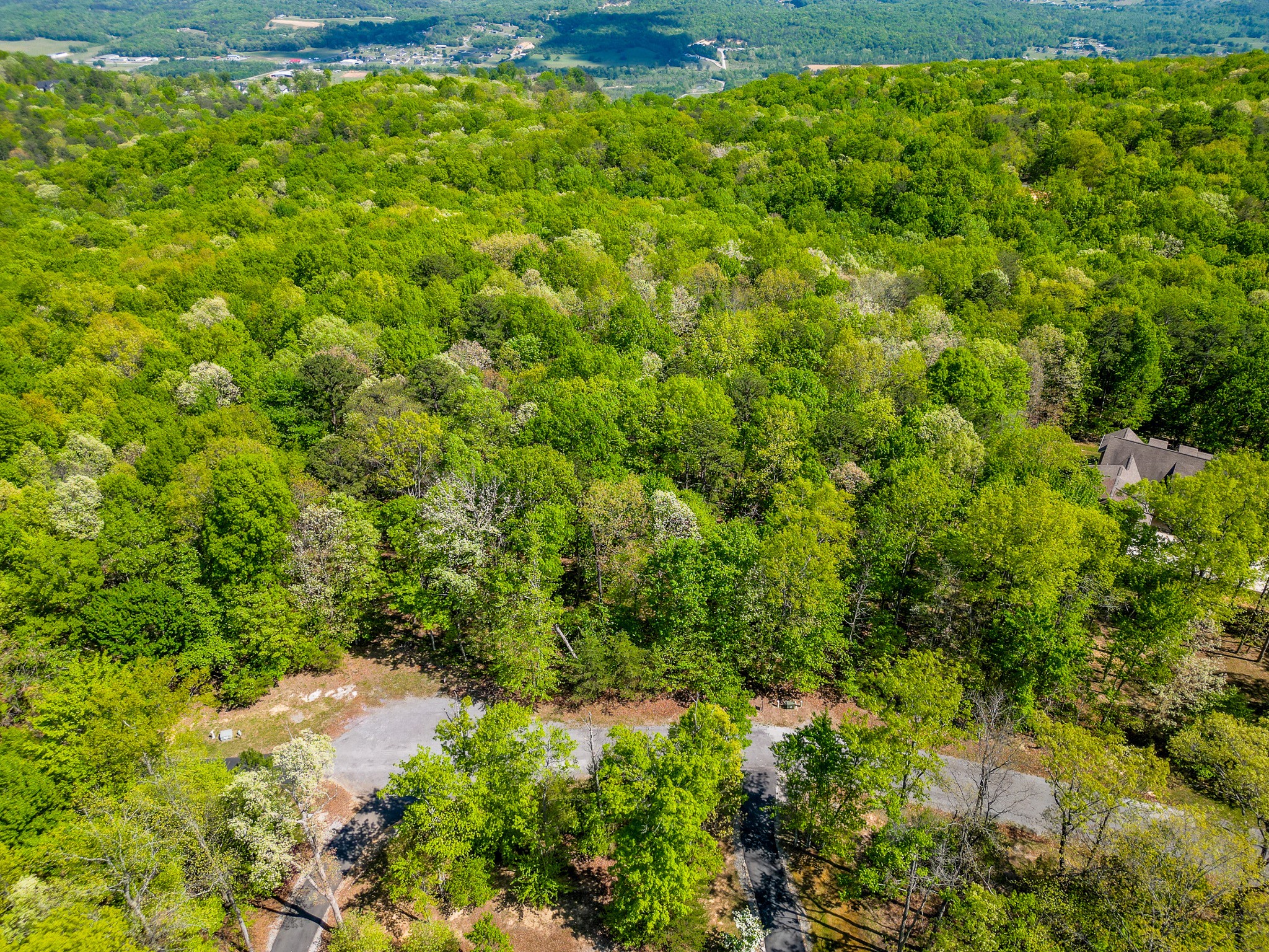 0 Twilight Trail Dunlap, TN 37327 - Photo 1 of 10