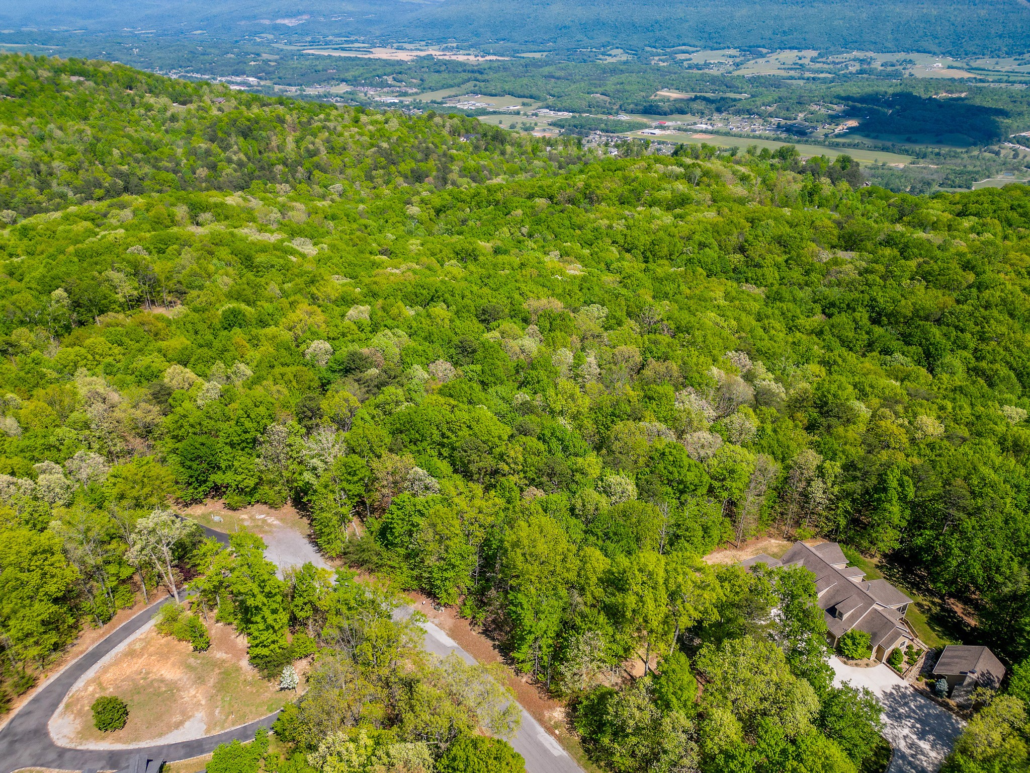 0 Twilight Trail Dunlap, TN 37327 - Photo 2 of 10