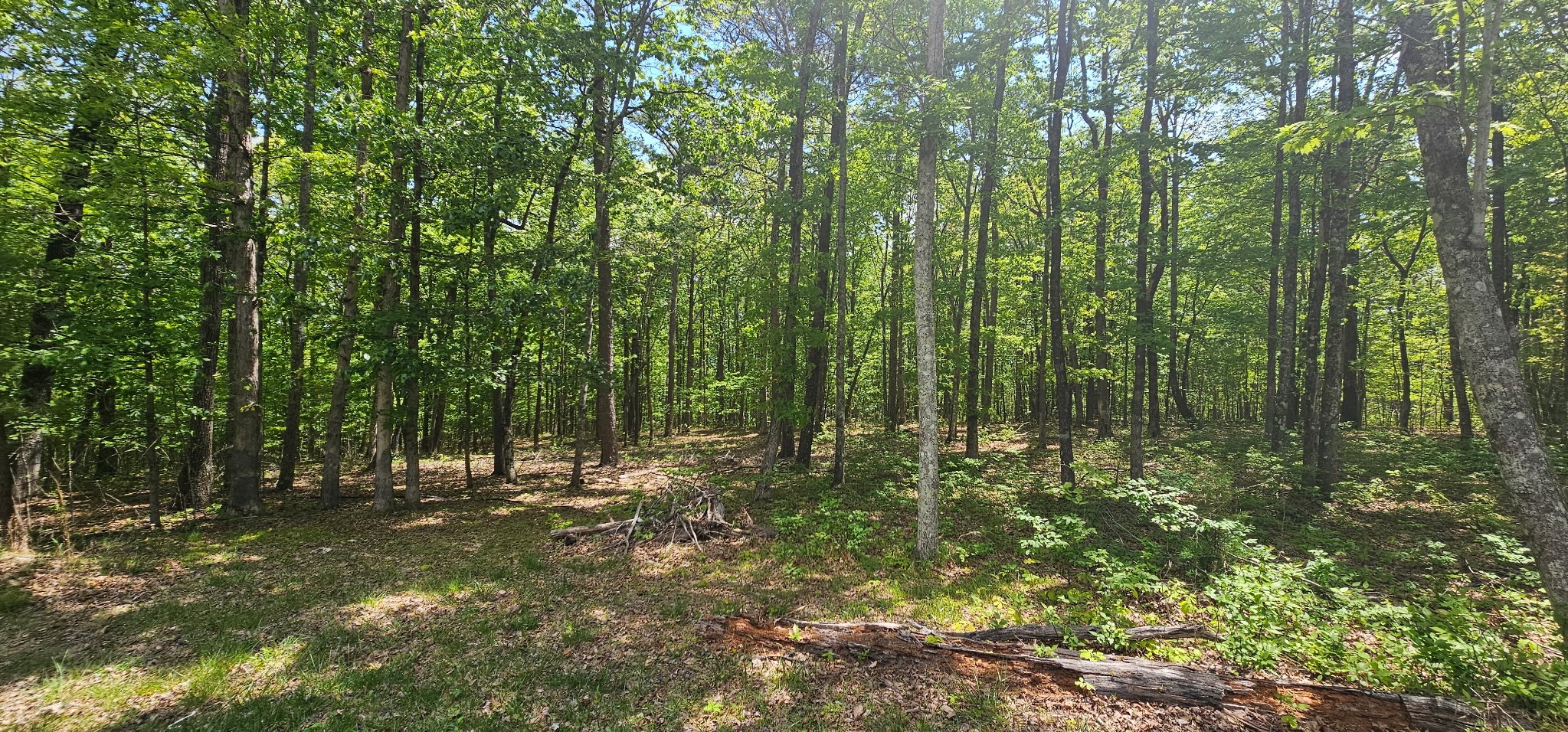 0 Twilight Trail Dunlap, TN 37327 - Photo 9 of 10 a view of outdoor space and trees