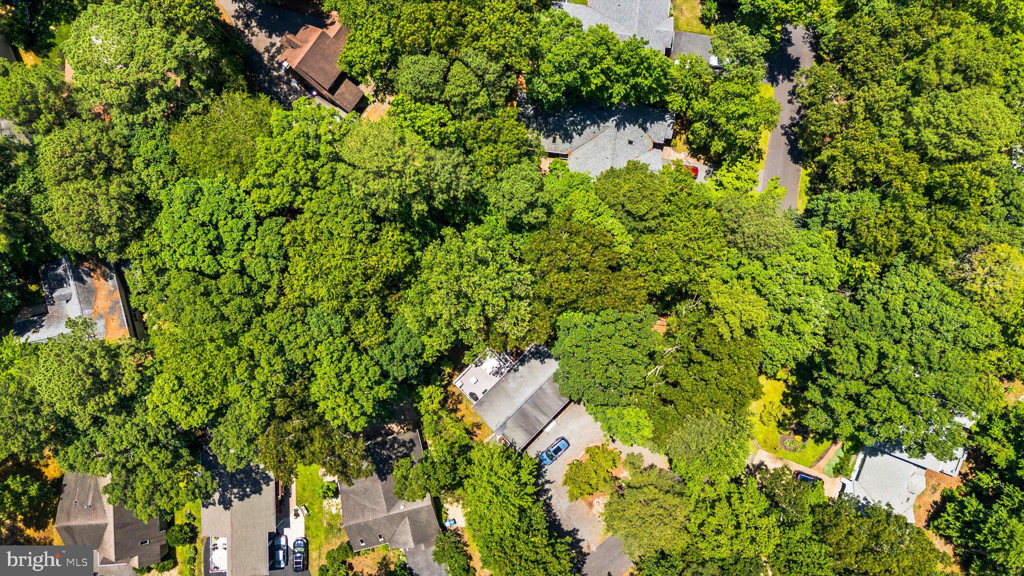 12 Moonraker Road Ocean Pines, MD 21811 - Photo 11 of 17 Lush greenery envelops suburban homes.