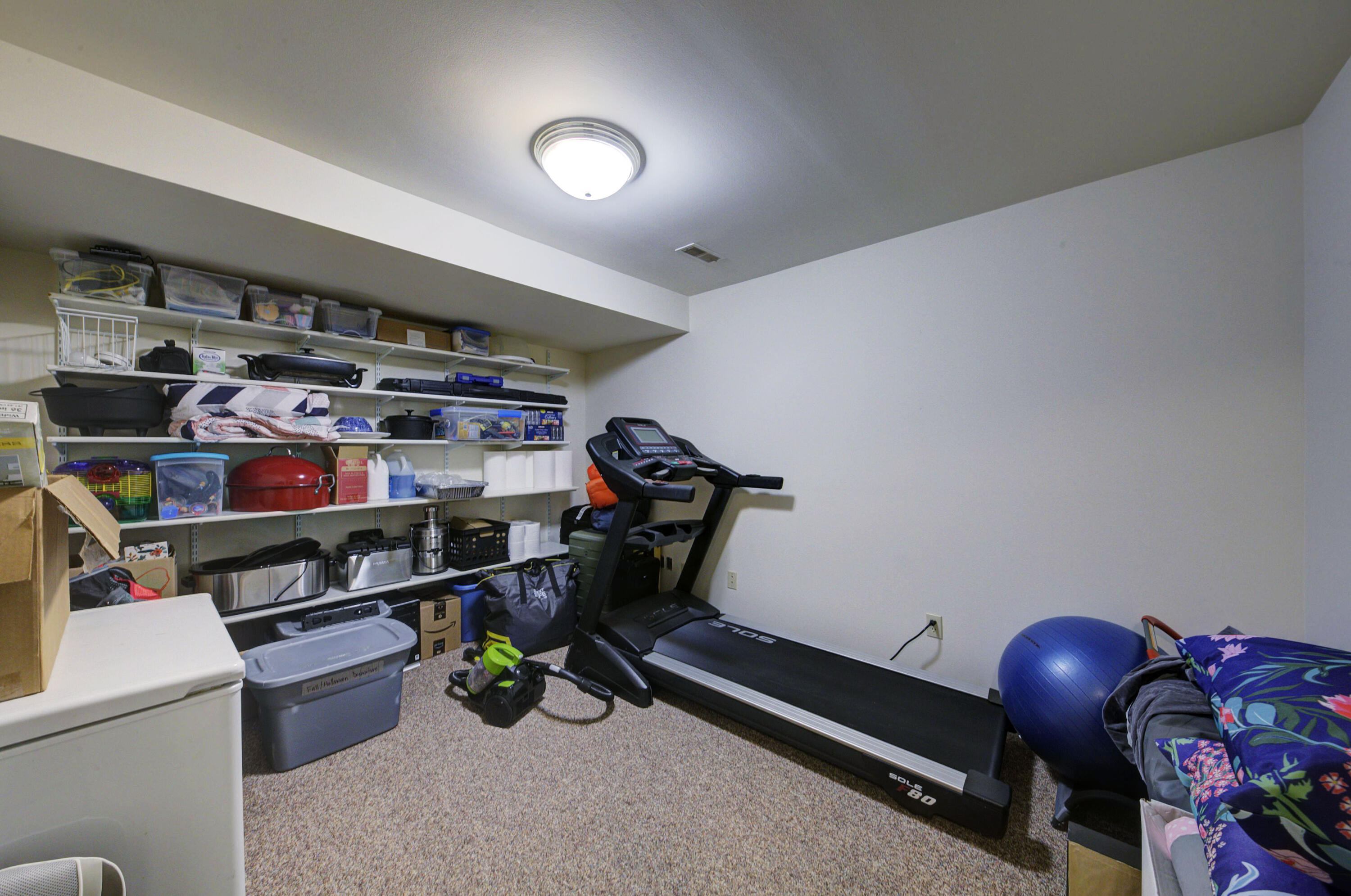 2391 Sunny Ridge Drive Pinckney, MI 48169 - Photo 39 of 71 Basement Office