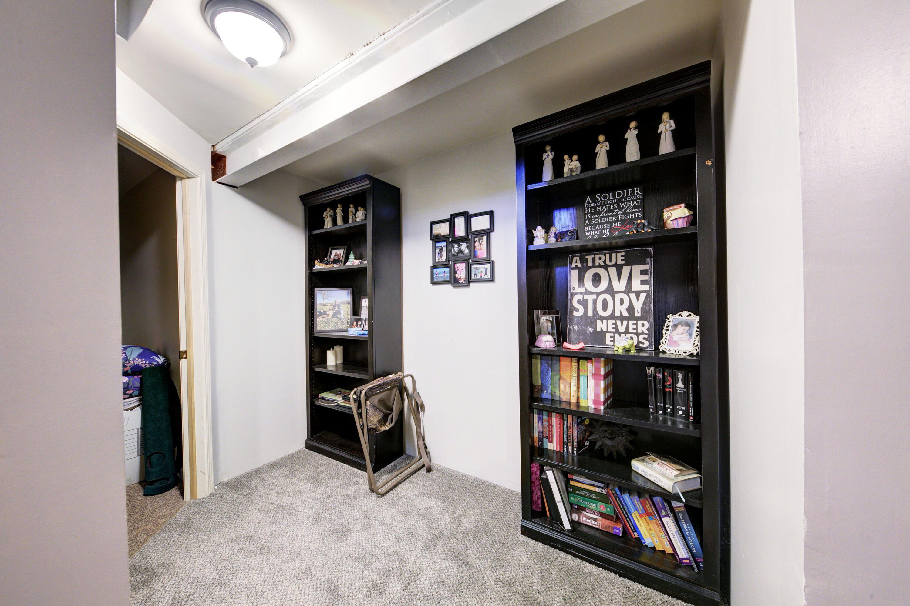 2391 Sunny Ridge Drive Pinckney, MI 48169 - Photo 51 of 71 Basement Landing