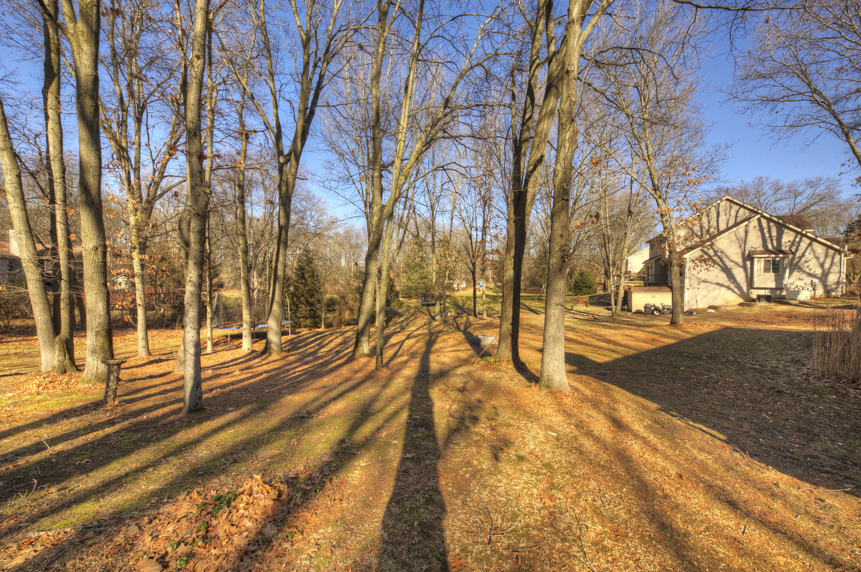 2391 Sunny Ridge Drive Pinckney, MI 48169 - Photo 56 of 71 Backyard