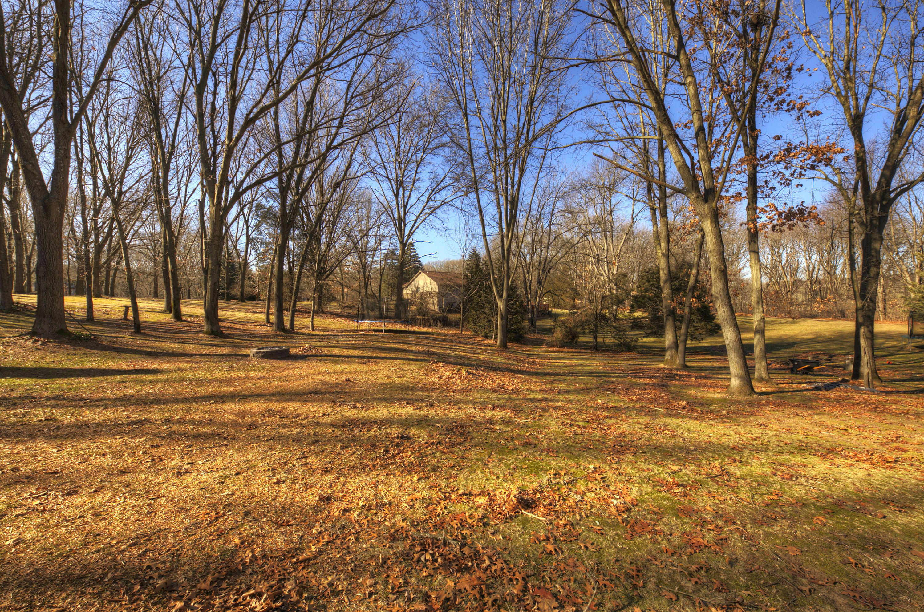 2391 Sunny Ridge Drive Pinckney, MI 48169 - Photo 58 of 71 Large Backyard