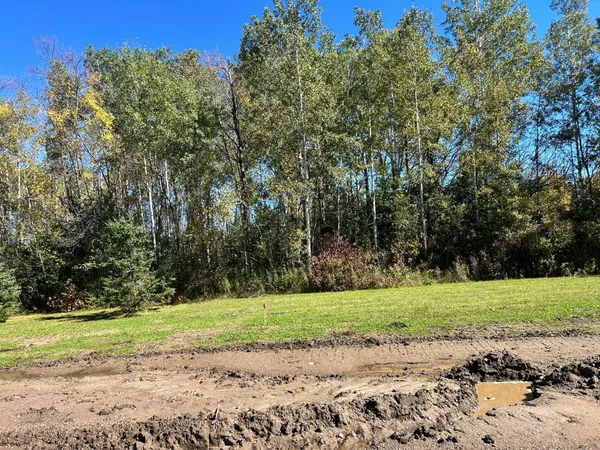 $45,000 | Tbd Little Elk Drive, Randall, MN 56475