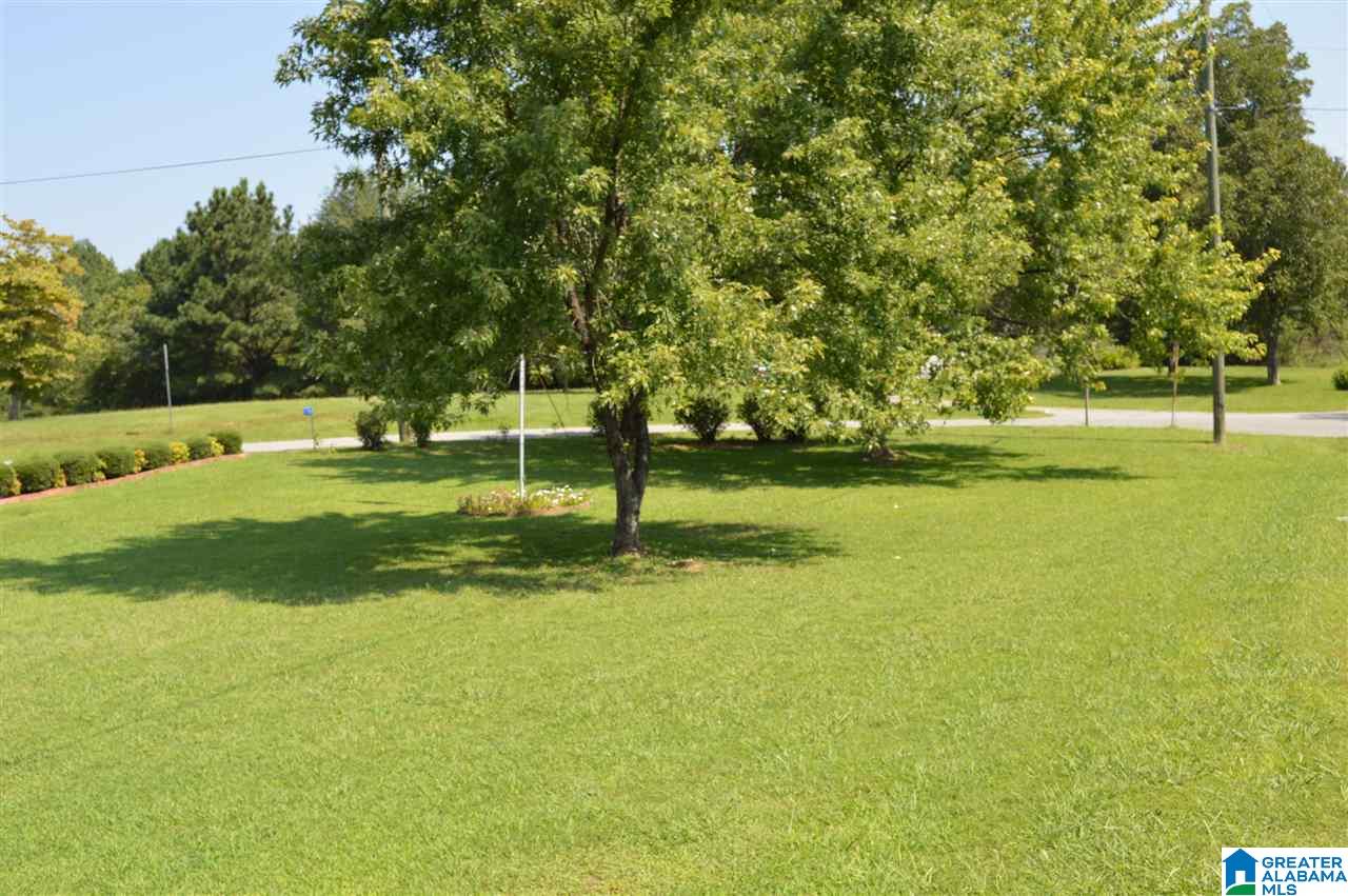 5230 Hammock Road Dora, AL 35062 - Photo 37 of 37