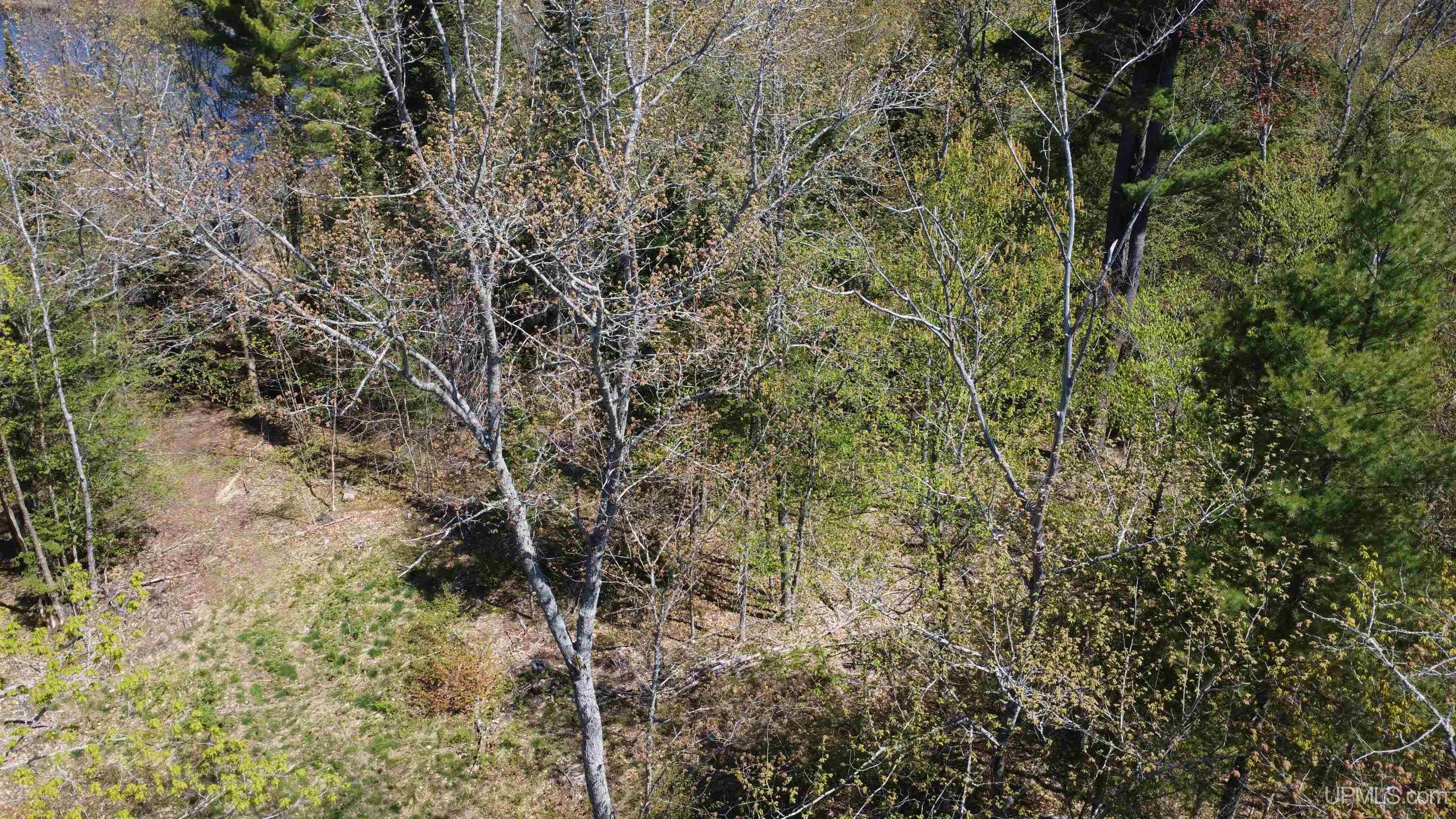 Off Adams Trail Shingleton, MI 49884 - Photo 46 of 46