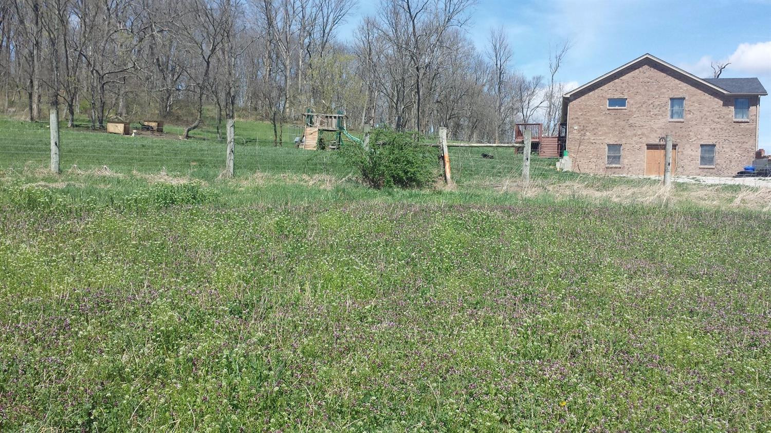 826 Anderson Road Georgetown, KY 40324 - Photo 13 of 18 This is the far end of the property on t