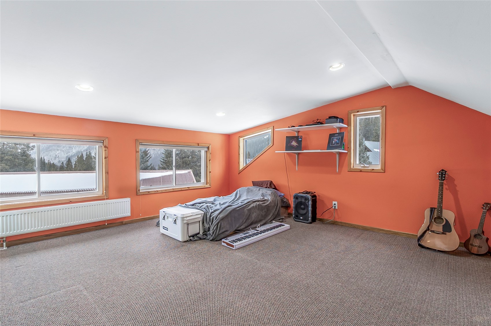 5291-5293 Montezuma Road Montezuma, CO 80435 - Photo 25 of 50